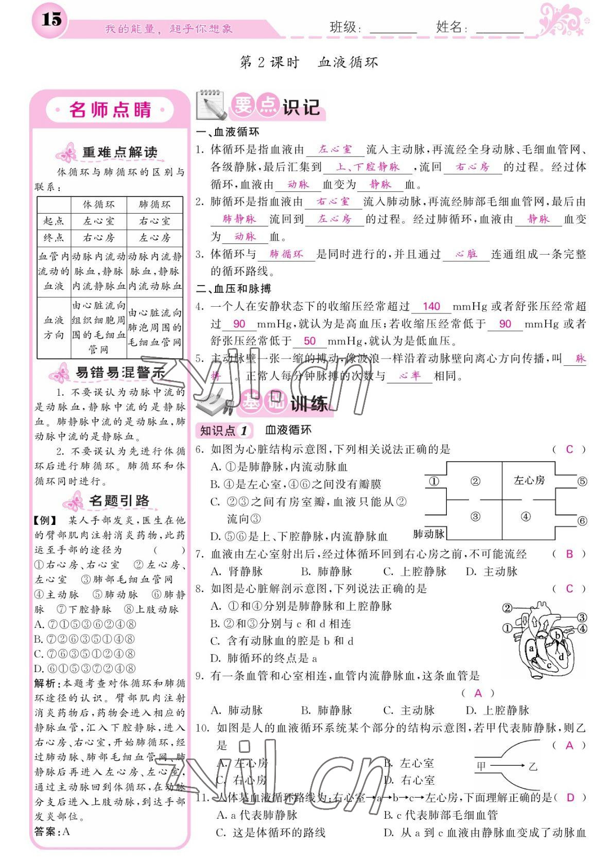 2022年課堂點(diǎn)睛七年級(jí)生物下冊(cè)北師大版 參考答案第15頁(yè)