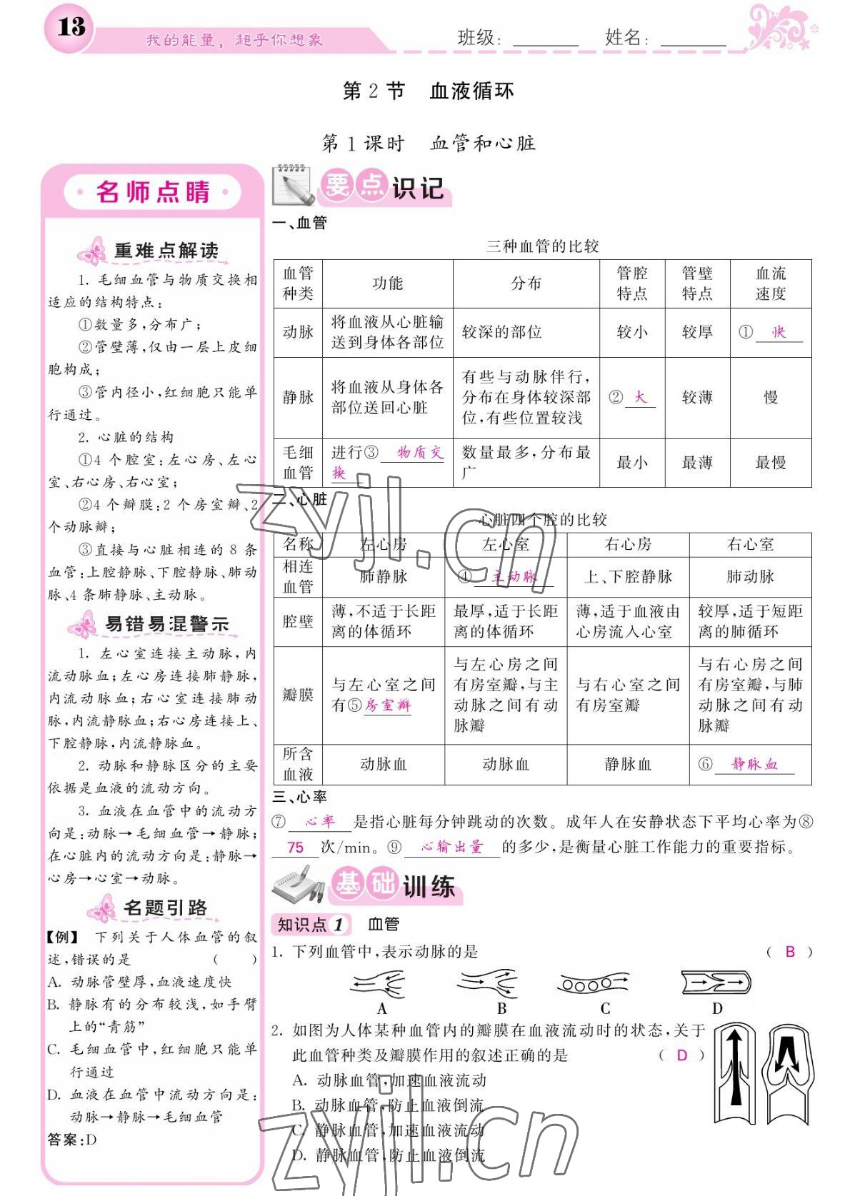 2022年課堂點睛七年級生物下冊北師大版 參考答案第13頁