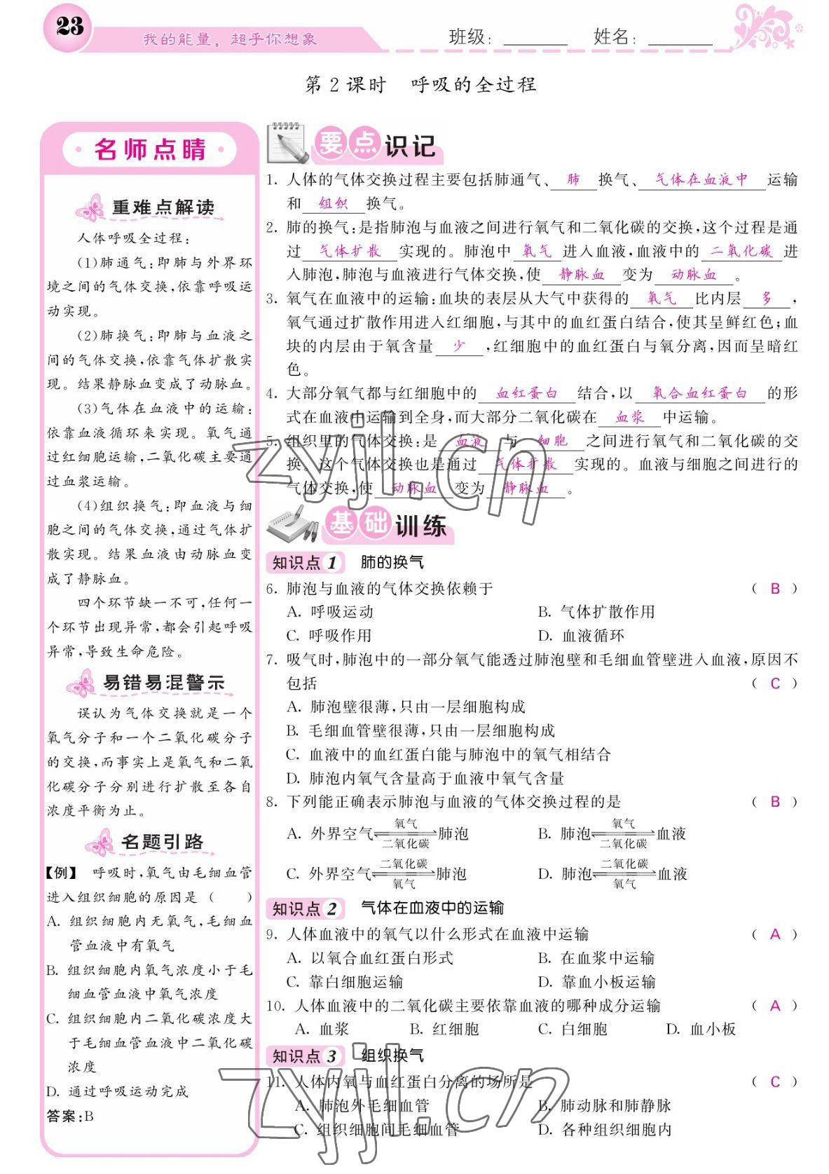 2022年課堂點睛七年級生物下冊北師大版 參考答案第23頁