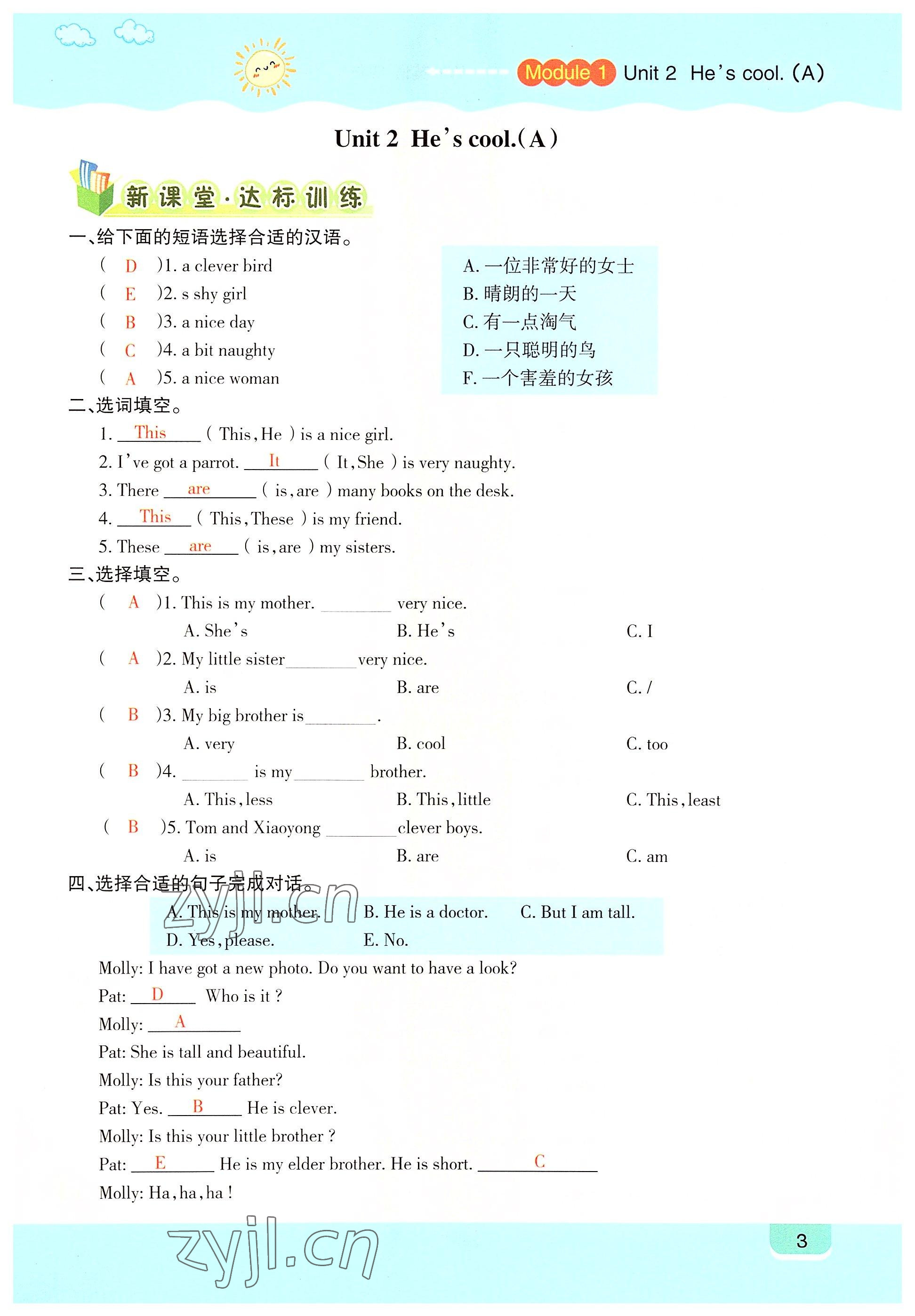 2022年高分學案創(chuàng)新課堂四年級英語下冊外研版 參考答案第3頁