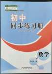 2022年初中同步練習冊九年級數(shù)學下冊人教版山東教育出版社