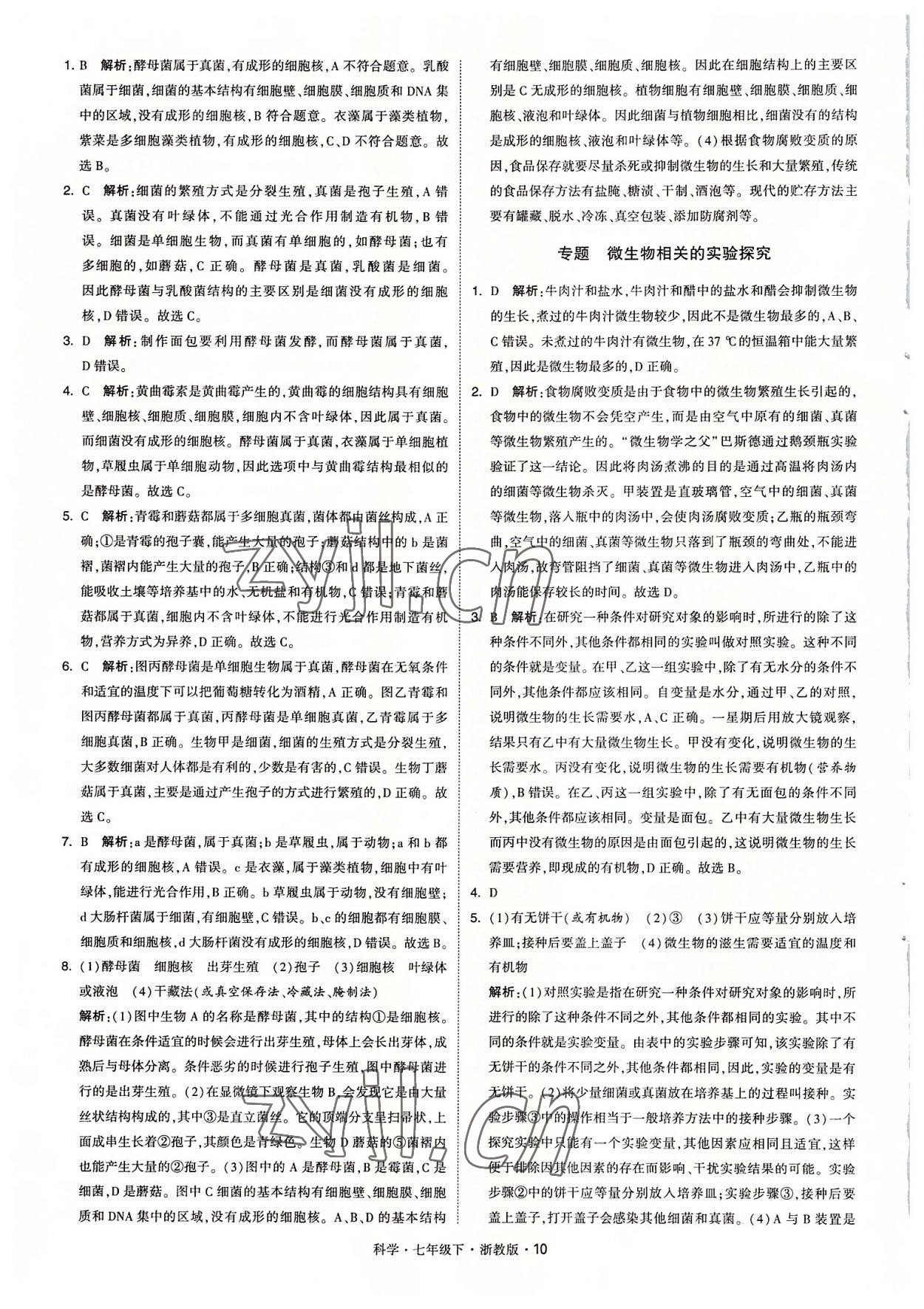 2022年經(jīng)綸學(xué)典學(xué)霸七年級科學(xué)下冊浙教版 參考答案第10頁