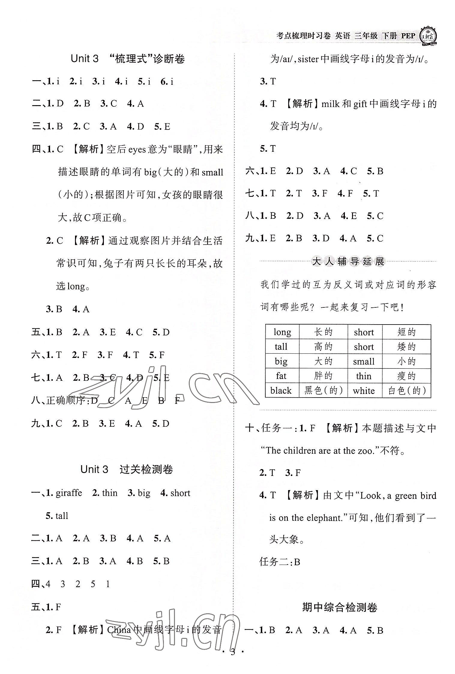 2022年王朝霞考點(diǎn)梳理時習(xí)卷三年級英語下冊人教版 第3頁