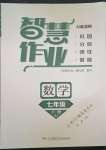 2022年智慧作業七年級數學下冊湘教版