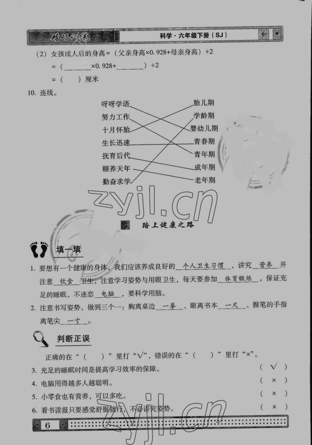 2022版學(xué)生課程精巧訓(xùn)練六年級科學(xué)下冊蘇教版 第6頁