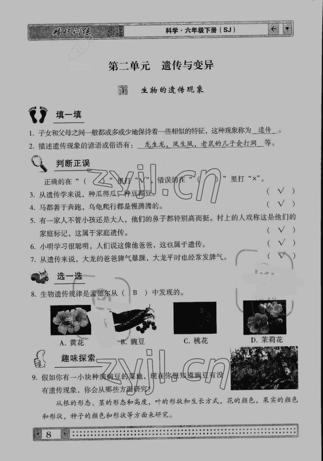 2022版學(xué)生課程精巧訓(xùn)練六年級(jí)科學(xué)下冊(cè)蘇教版 第8頁