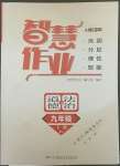 2022年智慧作業九年級道德與法治下冊人教版