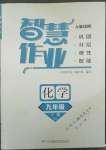 2022年智慧作業(yè)九年級化學(xué)下冊人教版