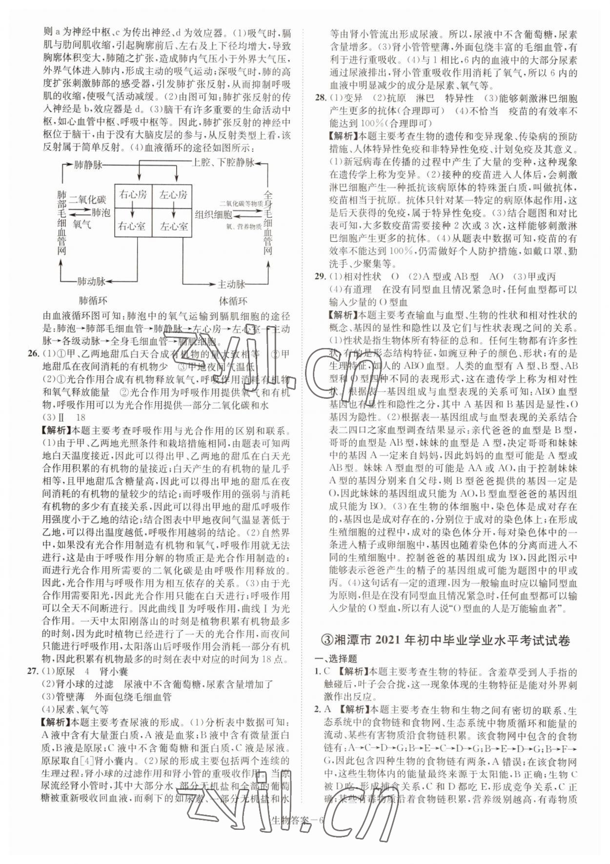 2022年貝殼導學中考真題生物湖南專版 參考答案第6頁