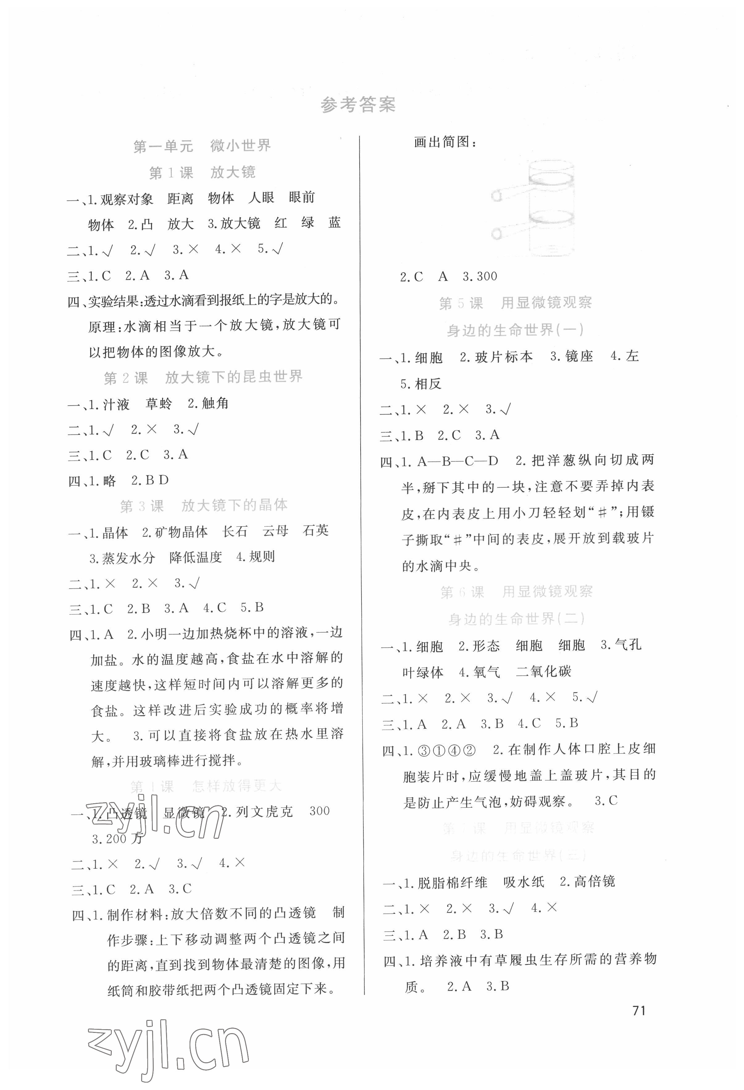 2022年鼎創小天才家庭作業六年級科學下冊教科版 第1頁