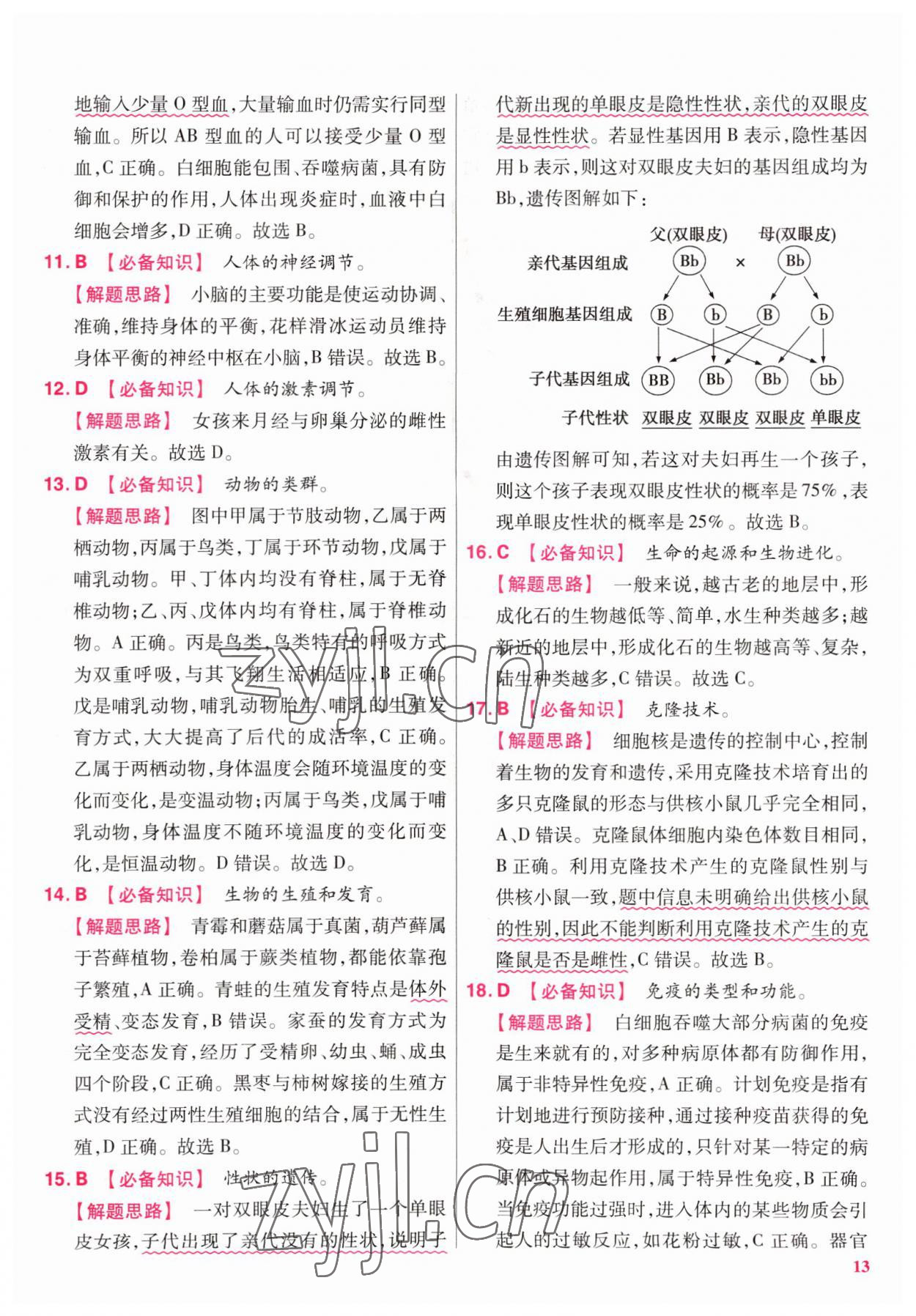 2022年金考卷百校聯(lián)盟系列江西中考信息卷生物 第13頁(yè)