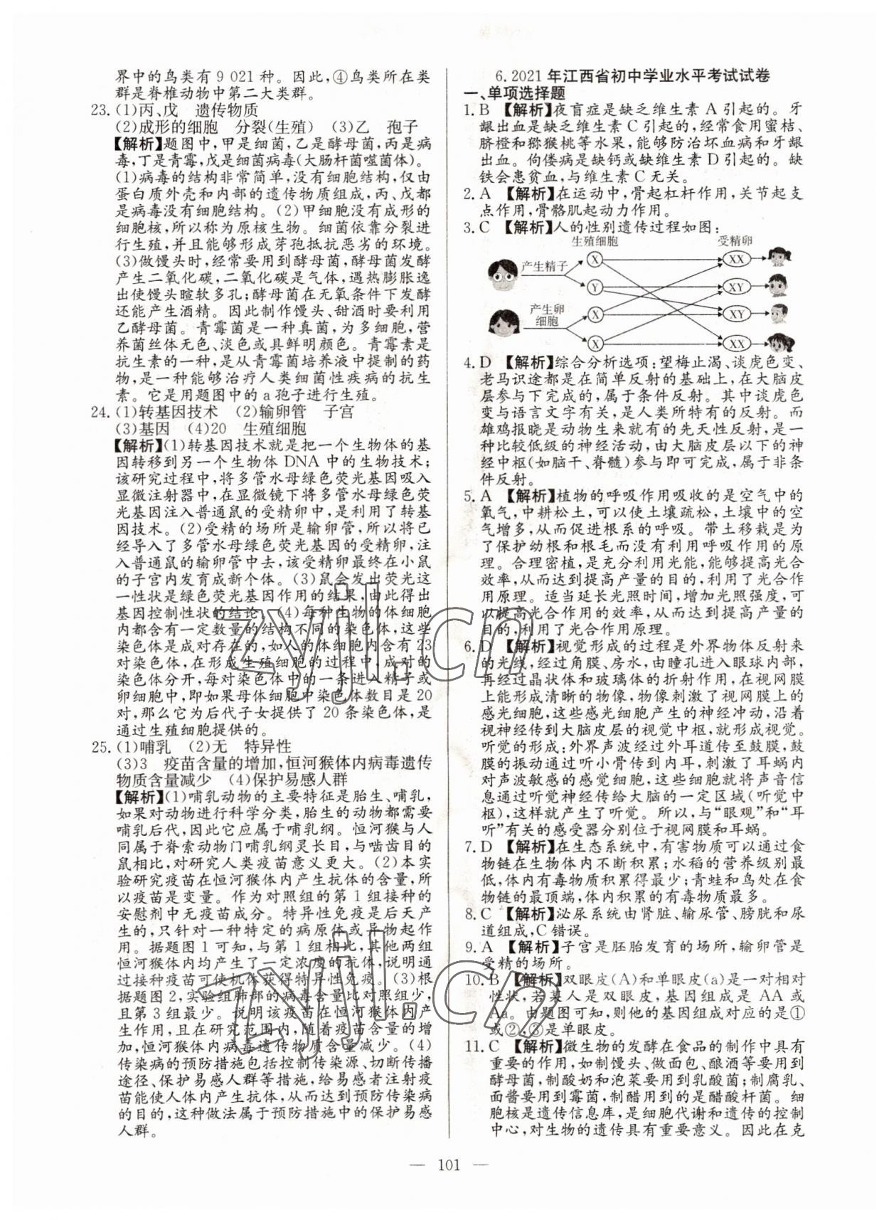 2022年超級中考通關(guān)卷生物江西專版 第9頁