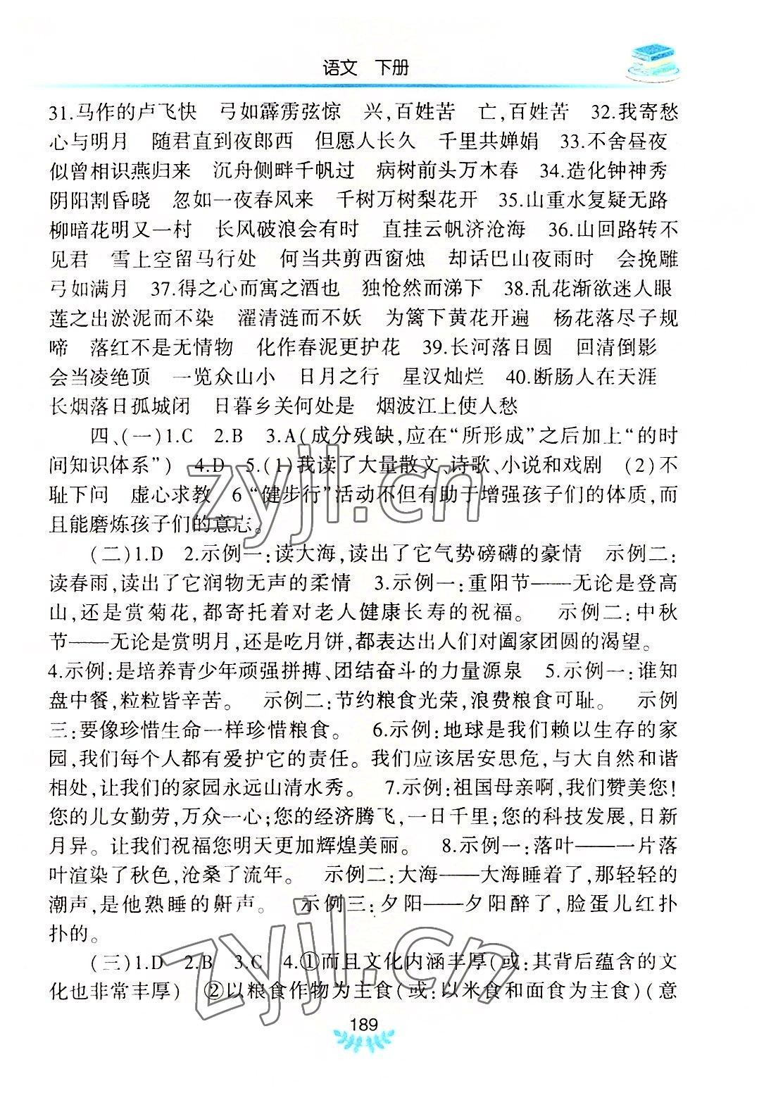 2022年河南省初中學(xué)業(yè)水平考試解析與檢測(cè)語(yǔ)文下冊(cè) 第3頁(yè)