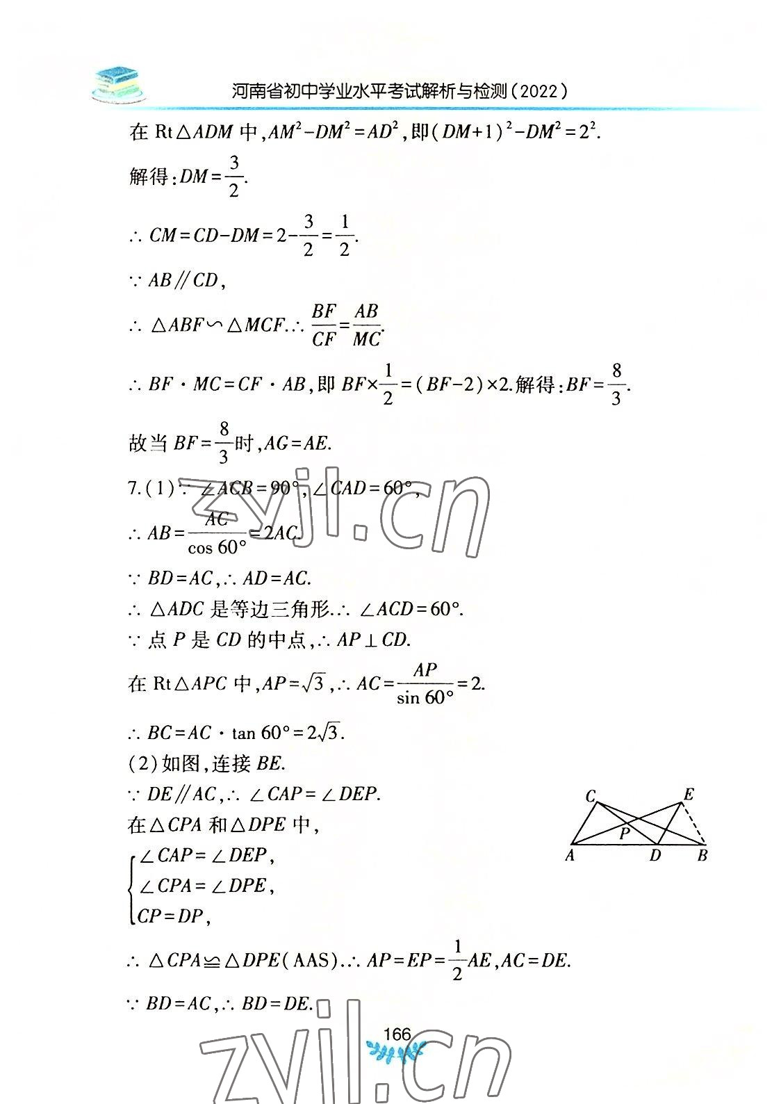 2022年河南省初中學業(yè)水平考試解析與檢測數(shù)學下冊 參考答案第17頁