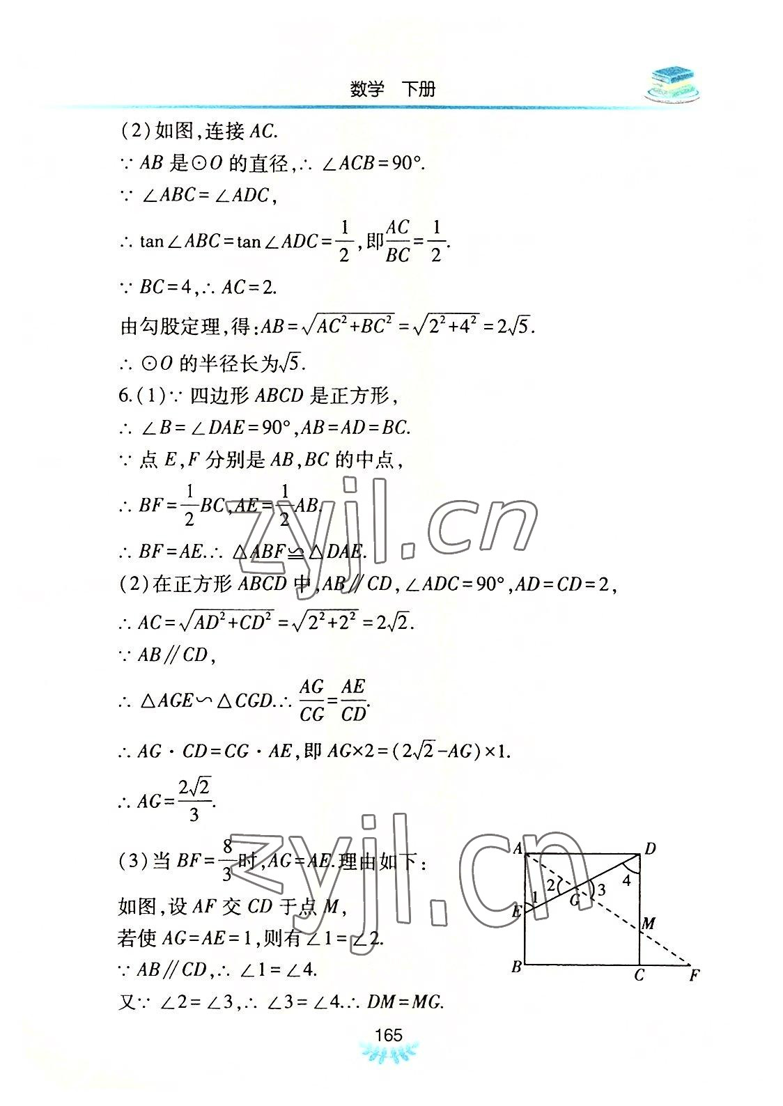 2022年河南省初中學(xué)業(yè)水平考試解析與檢測(cè)數(shù)學(xué)下冊(cè) 參考答案第16頁(yè)