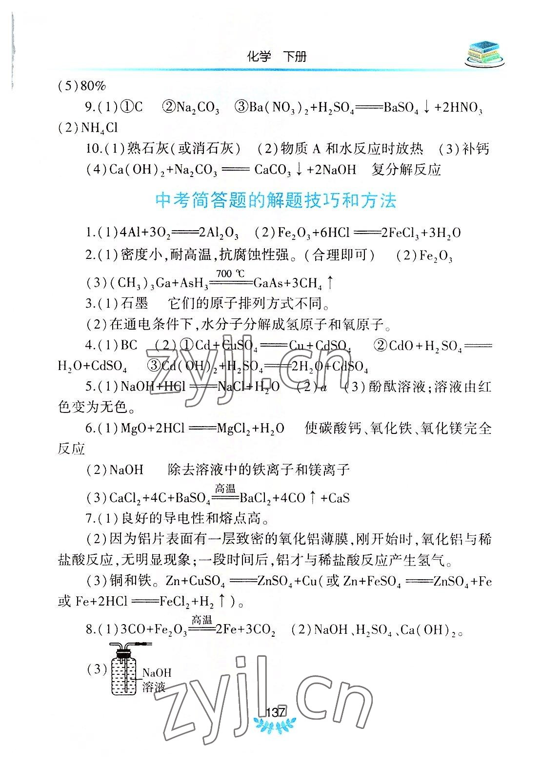 2022年河南省初中學業(yè)水平考試解析與檢測化學下冊 參考答案第2頁