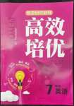 2022年預錄培優(yōu)教程高效培優(yōu)七年級英語全一冊人教版