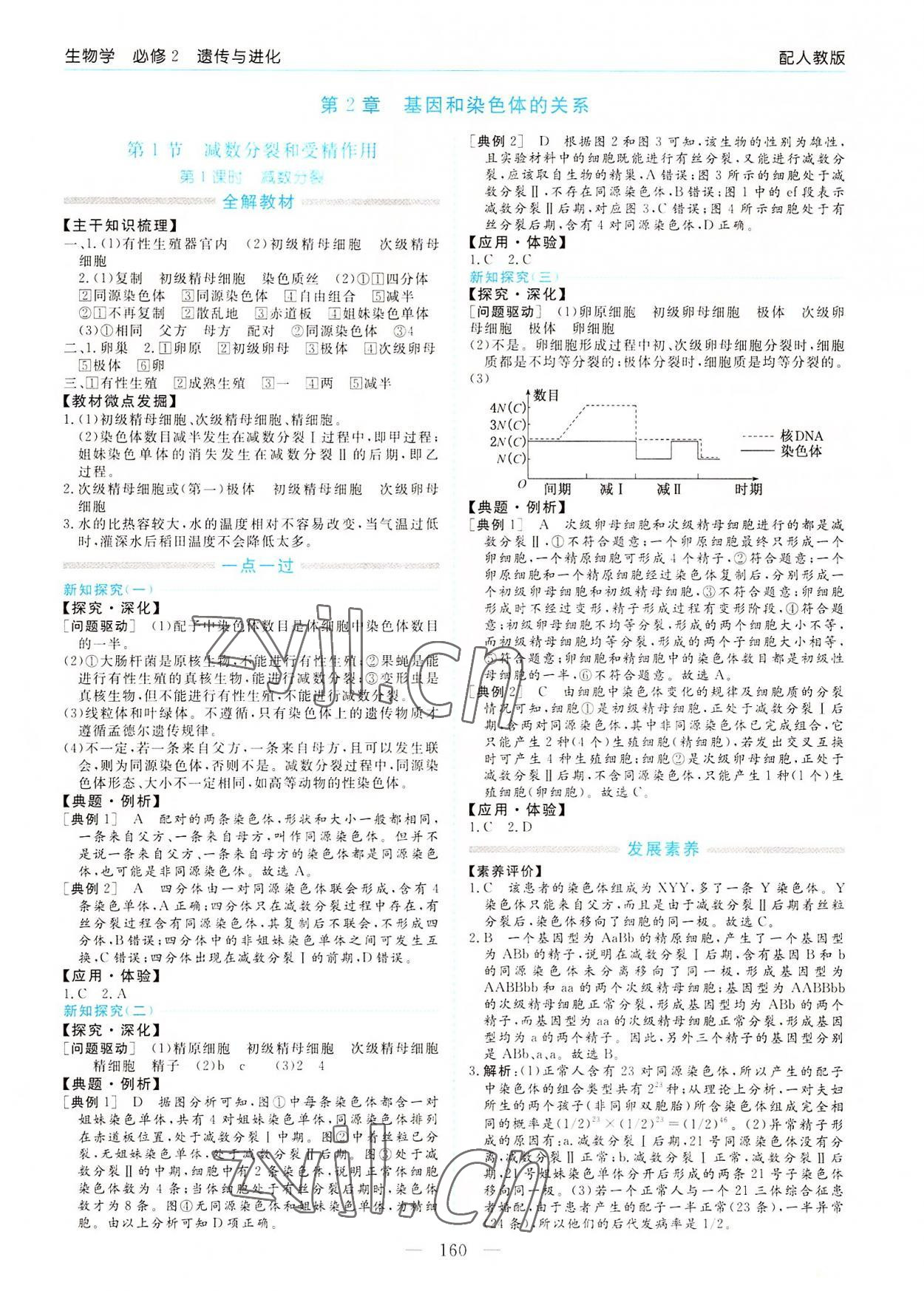 2022年新課程學習指導高中生物必修2人教版 第4頁