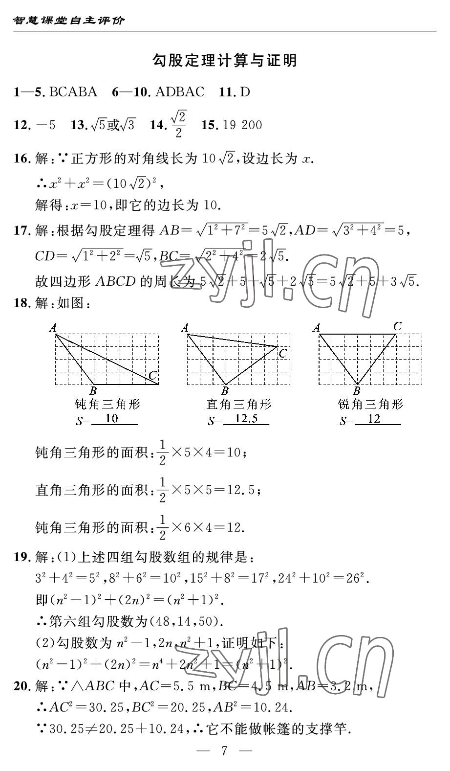 2022年智慧課堂自主評價八年級數學下冊人教版宜昌專版 參考答案第7頁