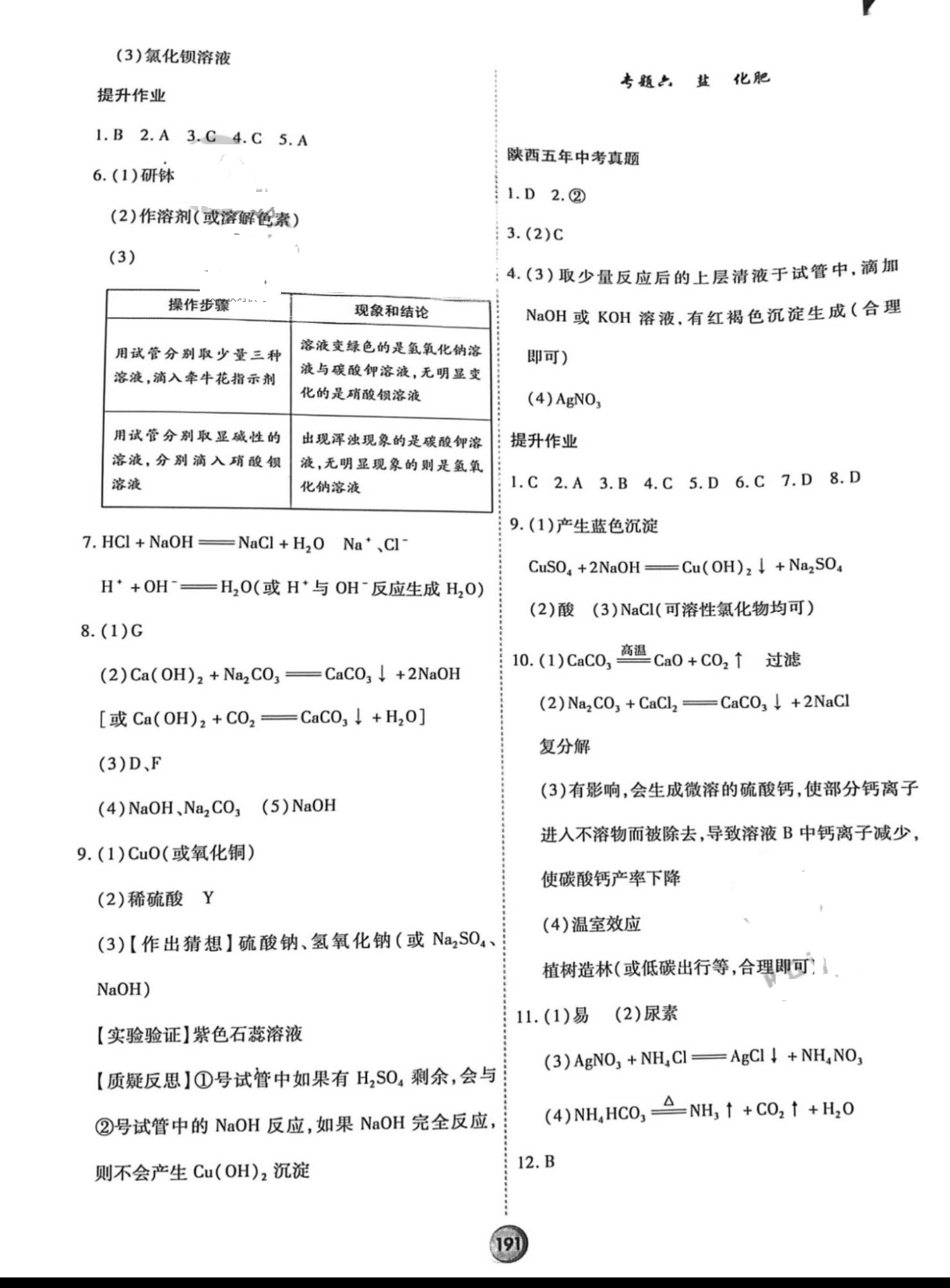 2022年初中畢業(yè)總復(fù)習(xí)提綱化學(xué) 參考答案第4頁(yè)