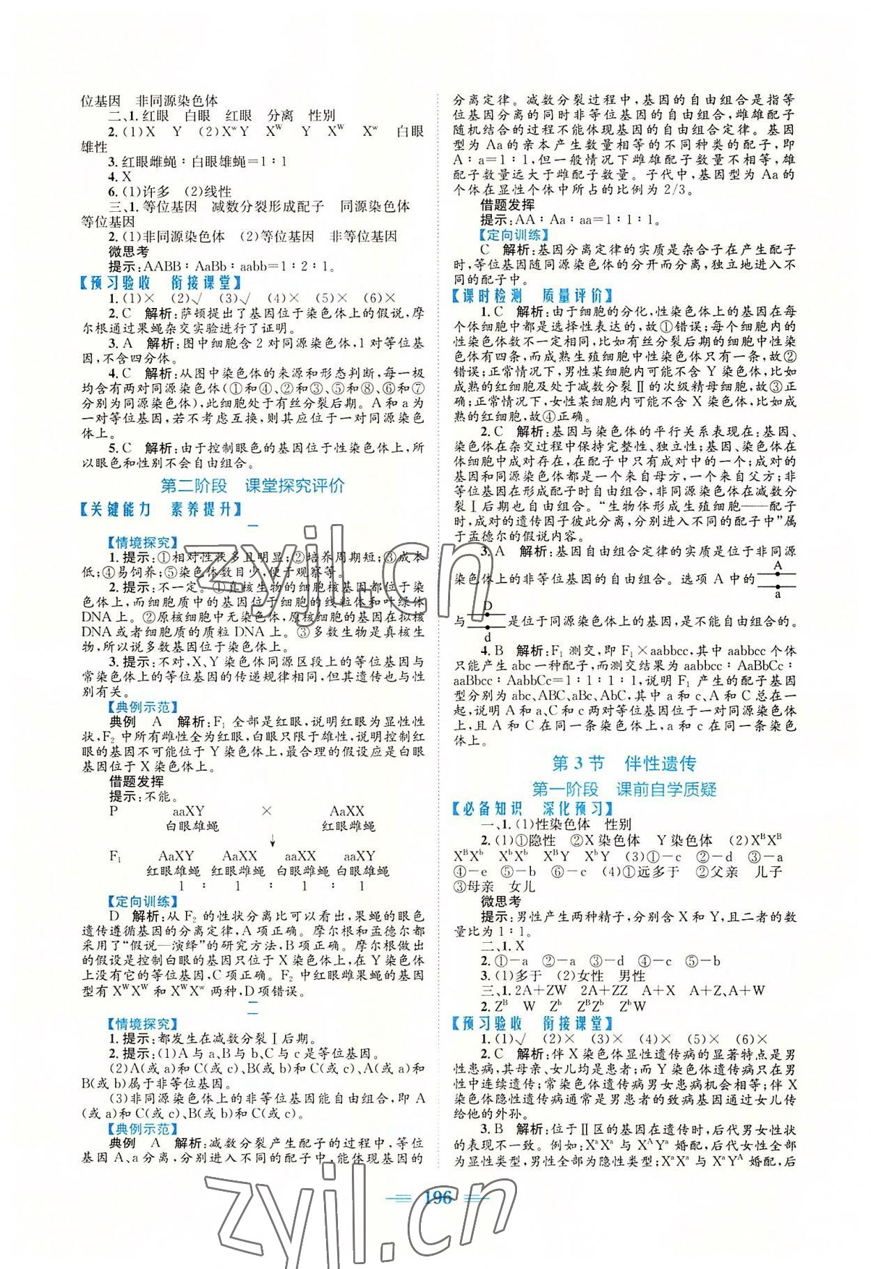 2022年新编高中同步作业高中生物必修2人教版 参考答案第6页