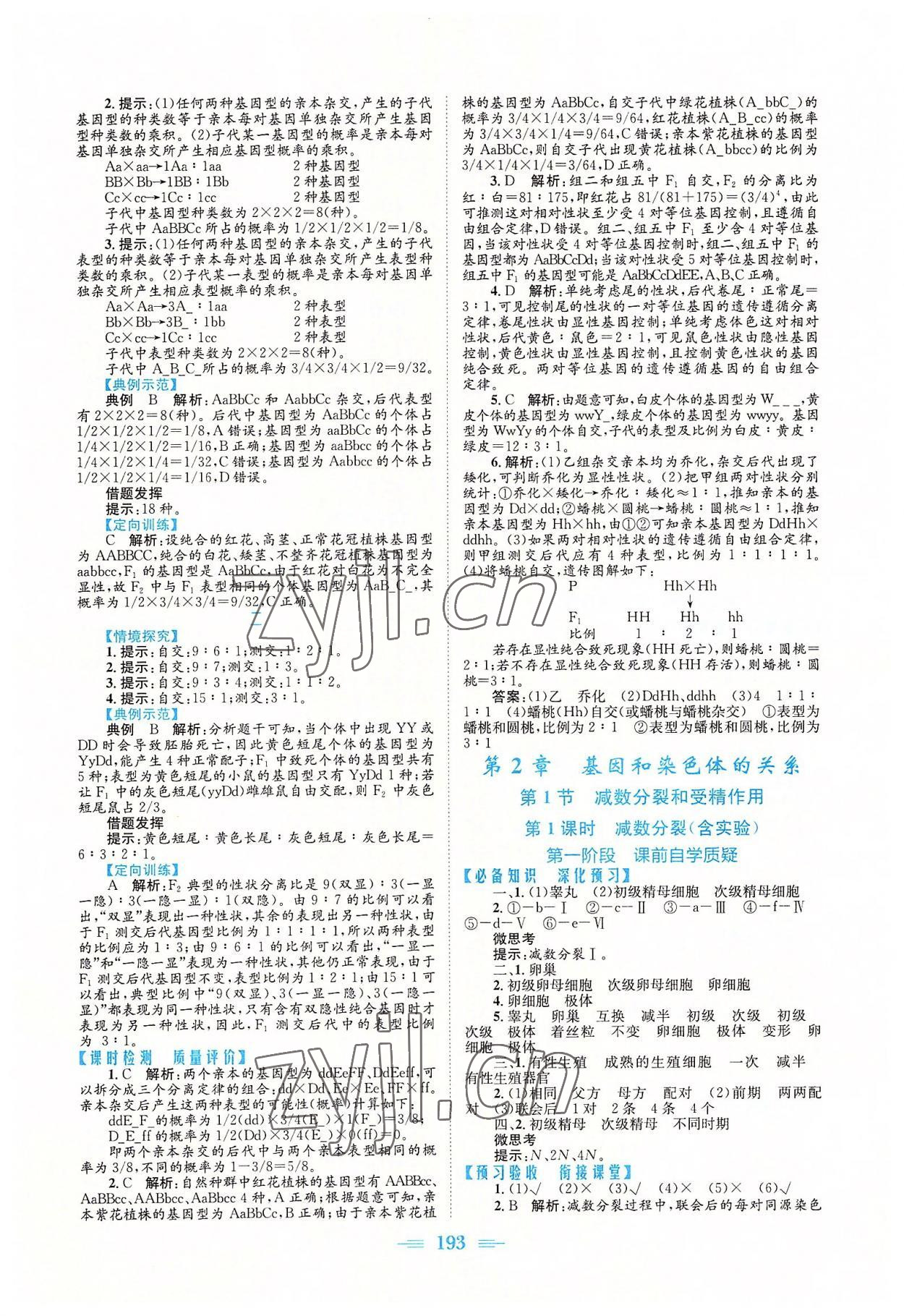 2022年新编高中同步作业高中生物必修2人教版 参考答案第3页