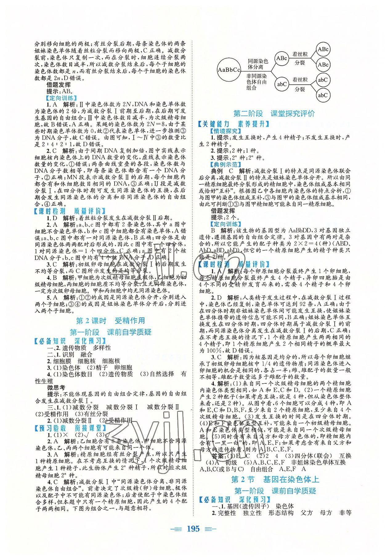 2022年新编高中同步作业高中生物必修2人教版 参考答案第5页