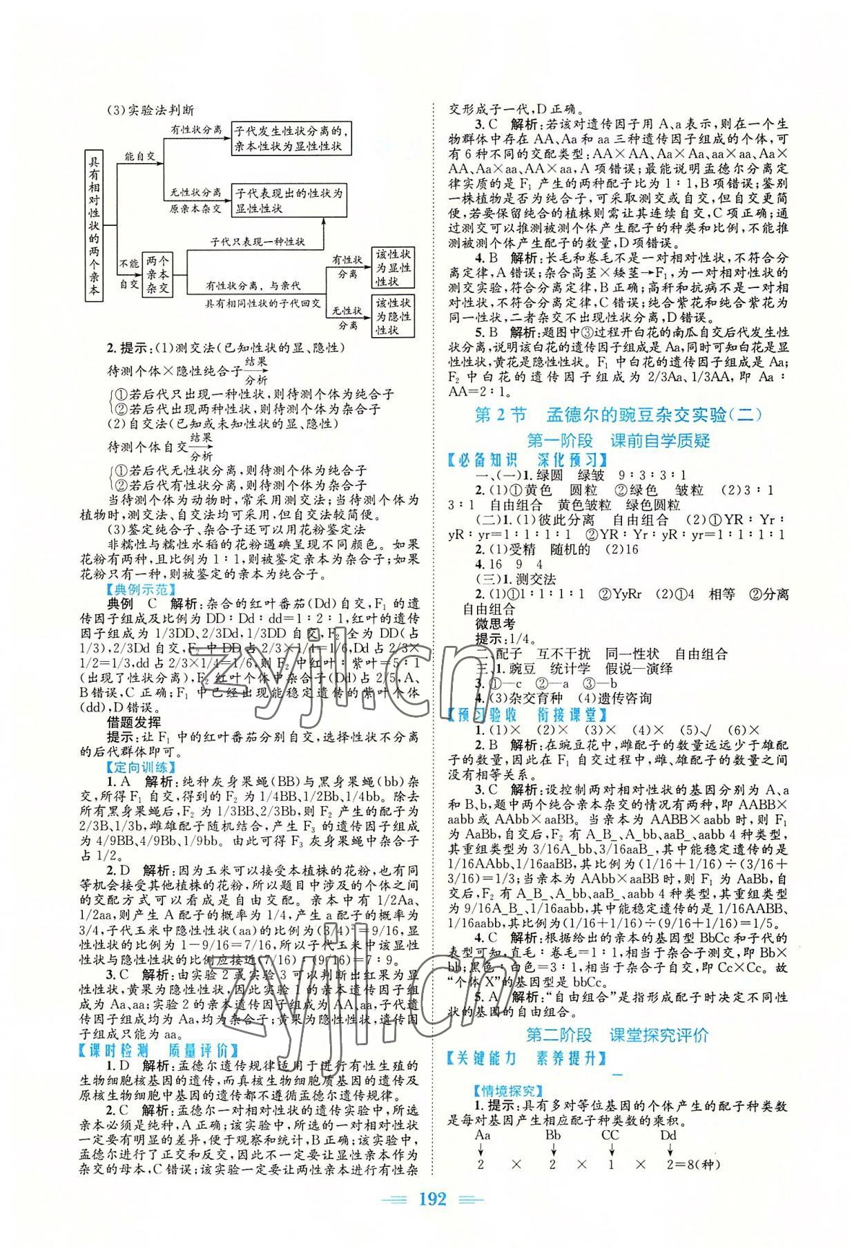 2022年新编高中同步作业高中生物必修2人教版 参考答案第2页