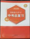 2022年創(chuàng)新能力學(xué)習(xí)中考總復(fù)習(xí)語文