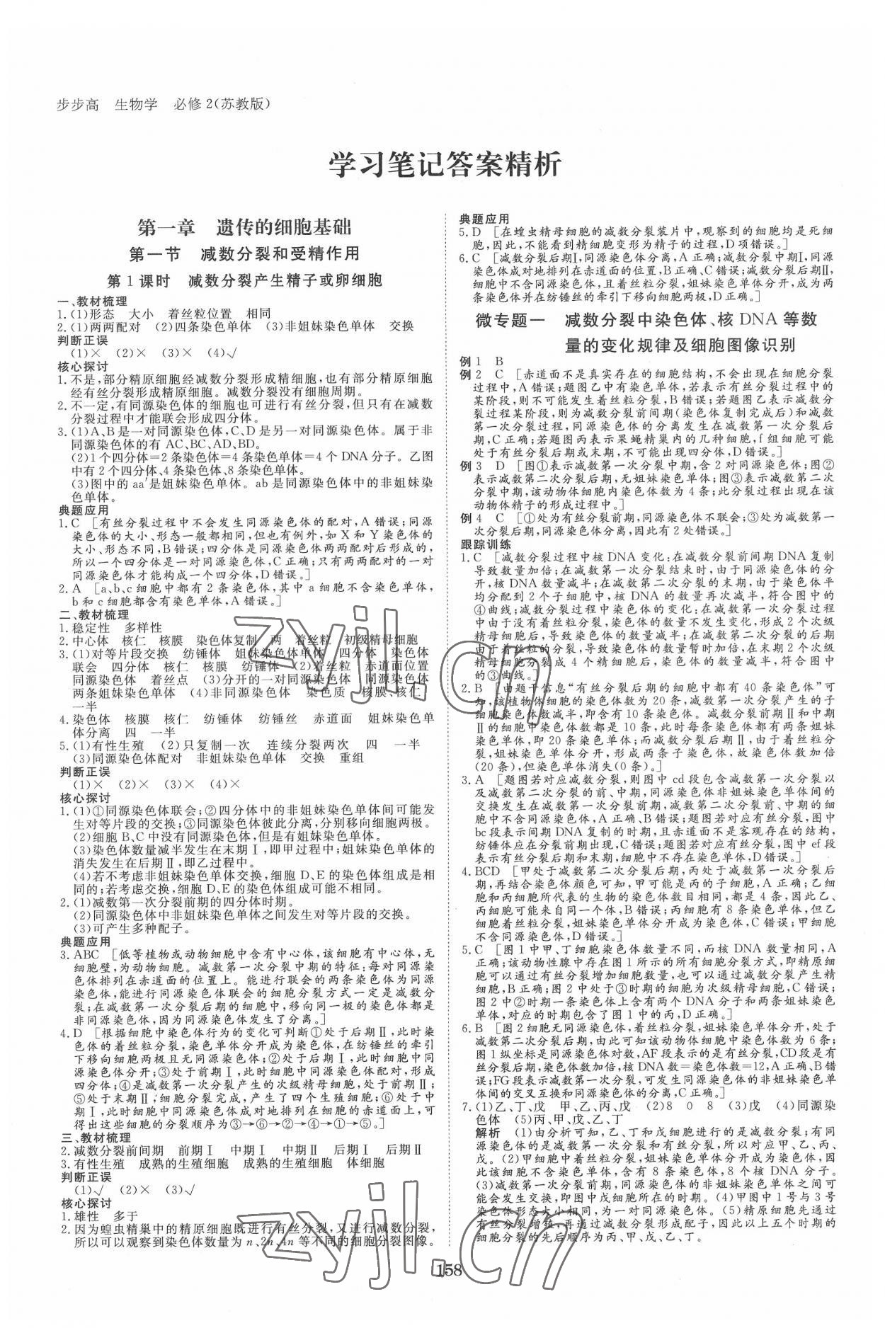 2022年步步高学习笔记生物必修2遗传与进化苏教版 参考答案第1页