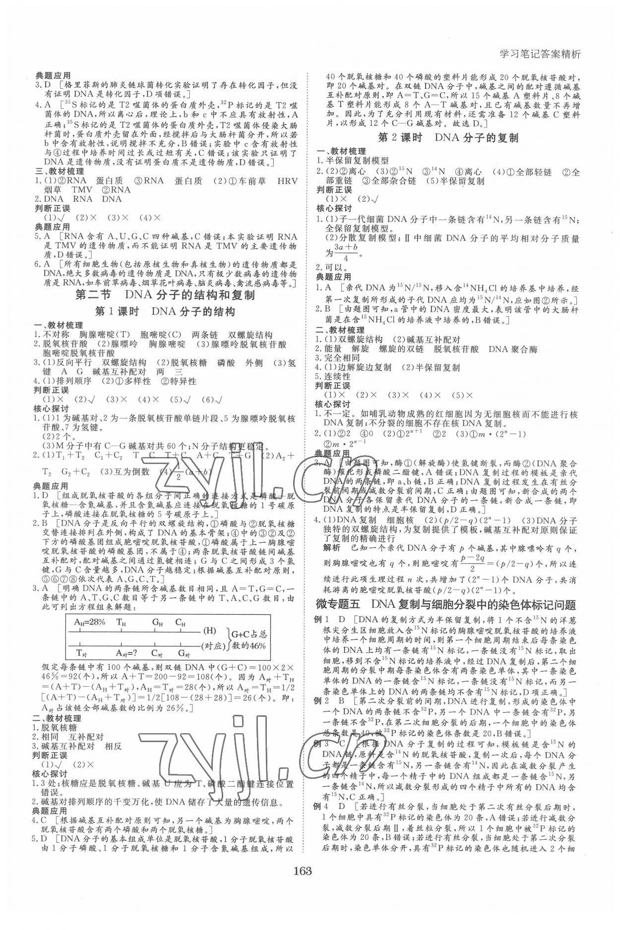 2022年步步高學(xué)習(xí)筆記生物必修2遺傳與進(jìn)化蘇教版 參考答案第5頁