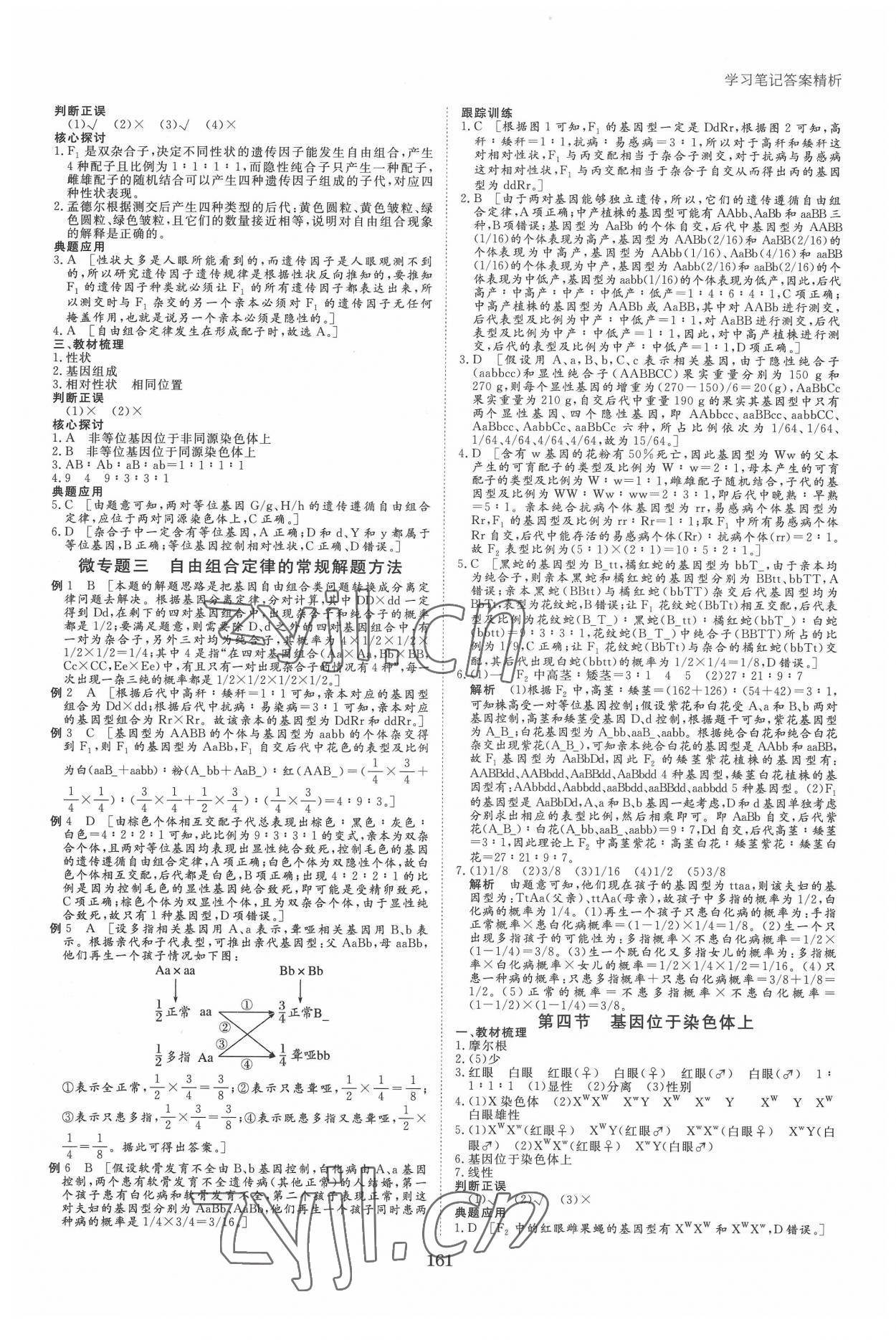 2022年步步高學(xué)習(xí)筆記生物必修2遺傳與進(jìn)化蘇教版 參考答案第3頁