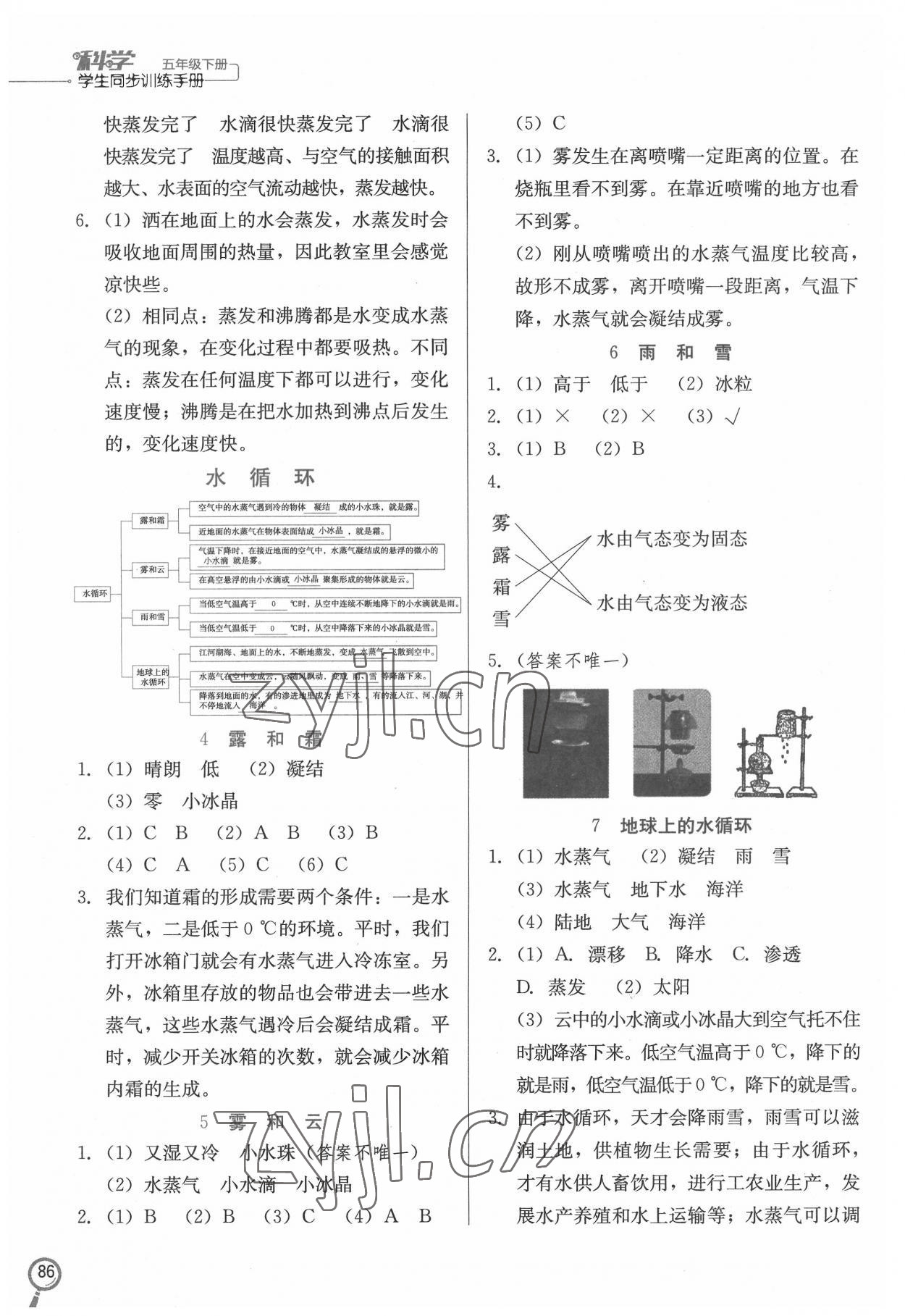 2022年學(xué)生同步訓(xùn)練手冊五年級科學(xué)下冊冀人版 第2頁