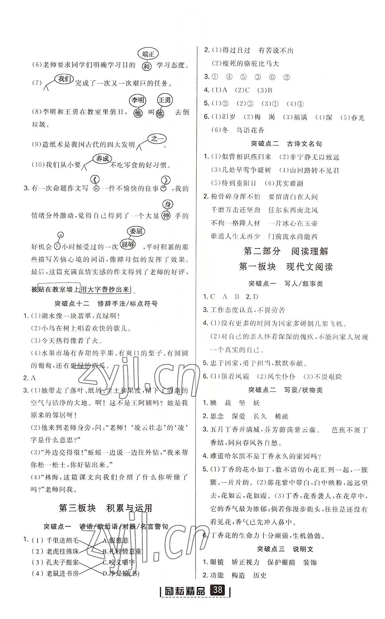 2022年勵(lì)耘小考語(yǔ)文浙江專版 第2頁(yè)