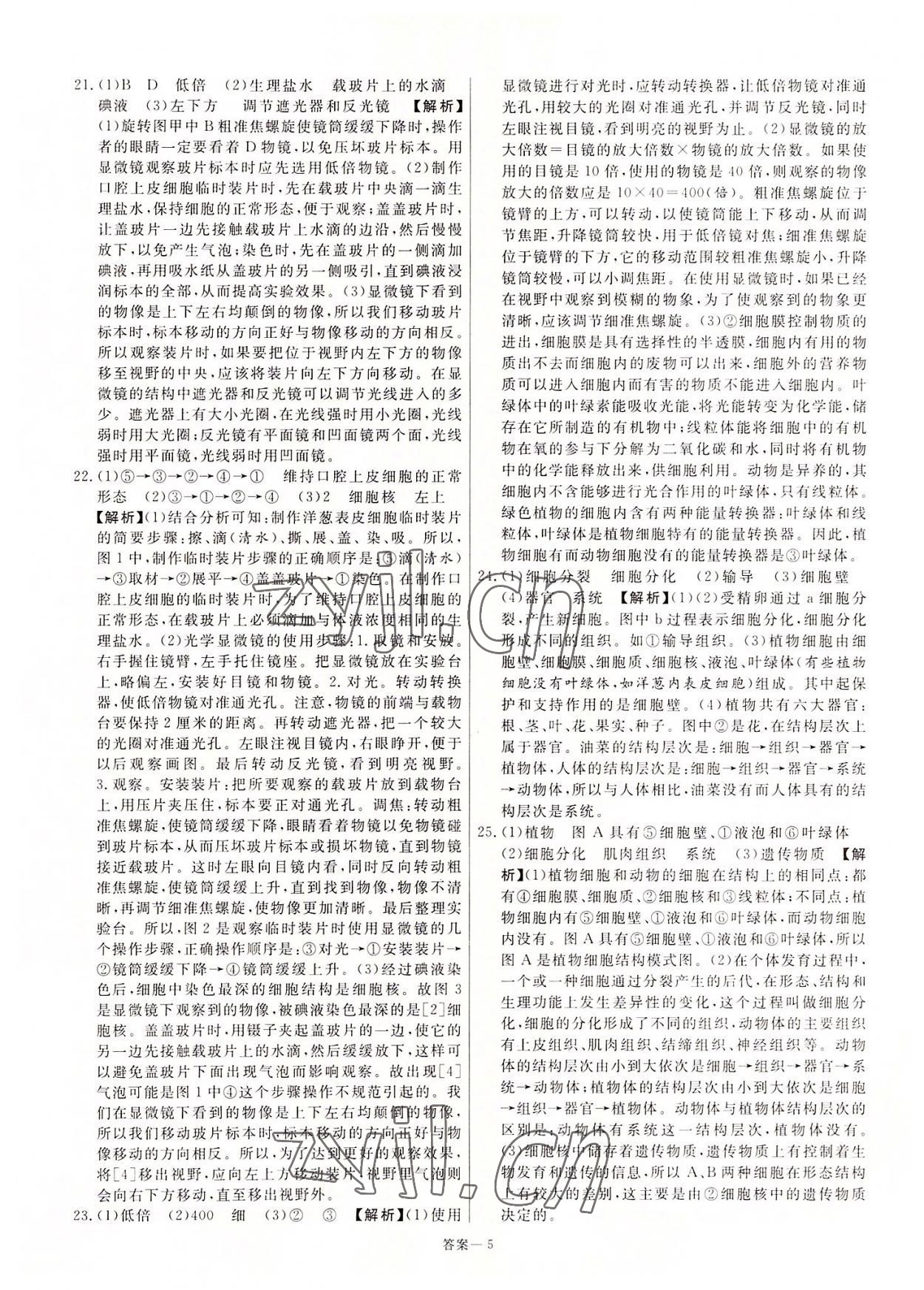 2022年新一線必刷卷生物河南專版 第5頁