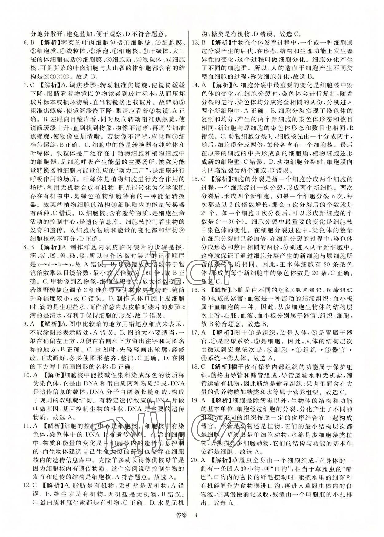 2022年新一線必刷卷生物河南專版 第4頁