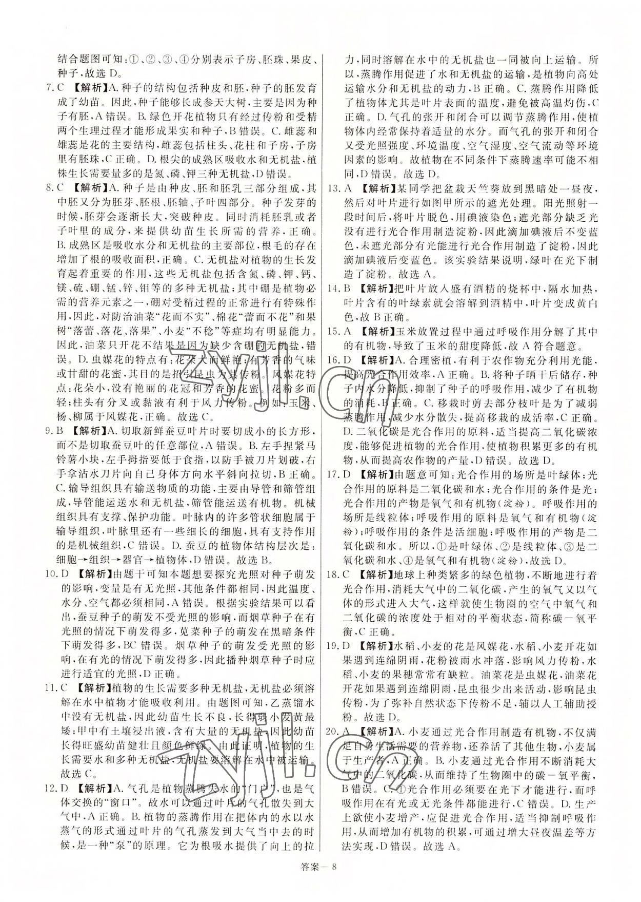 2022年新一線必刷卷生物河南專版 第8頁
