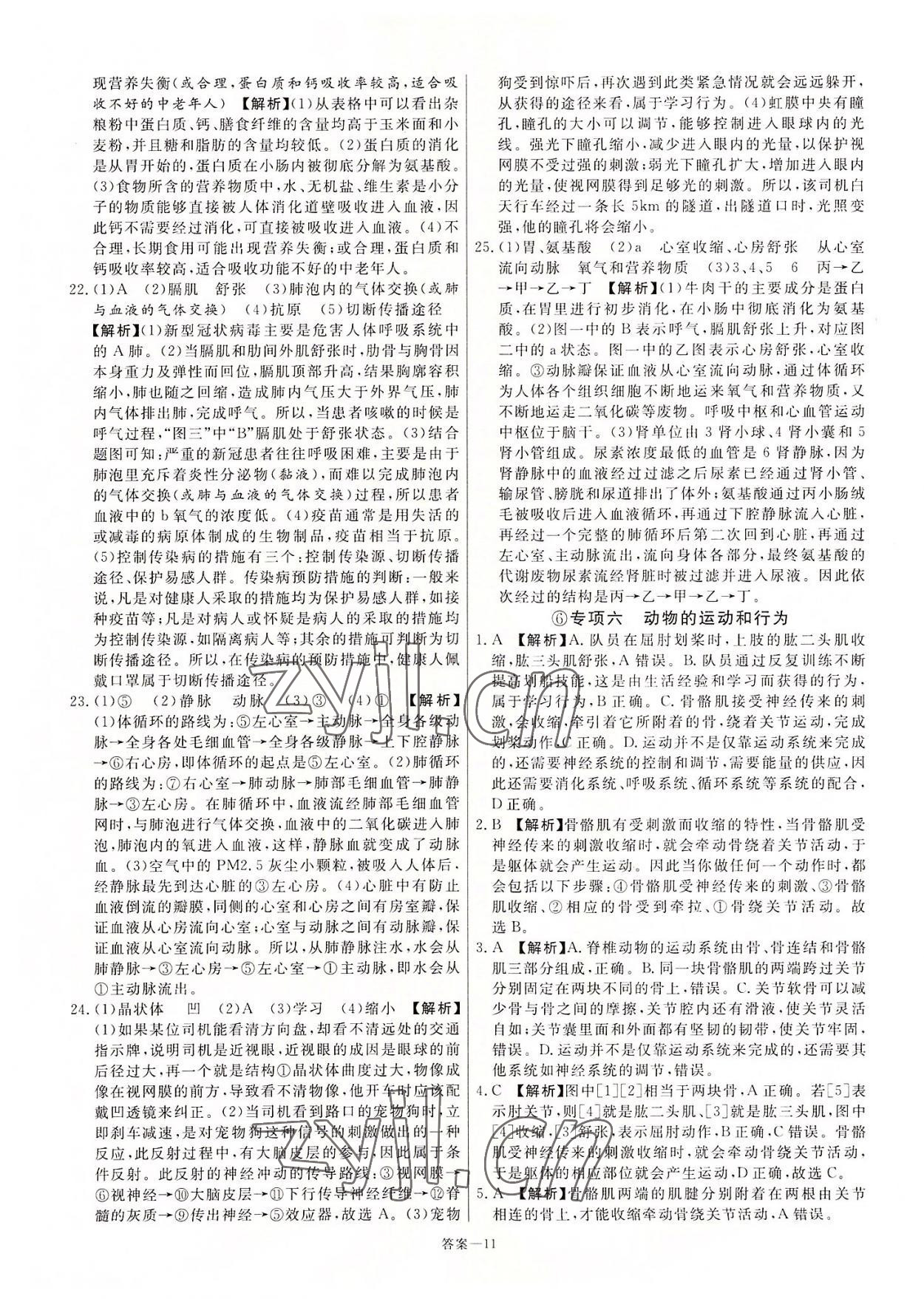 2022年新一線必刷卷生物河南專版 第11頁