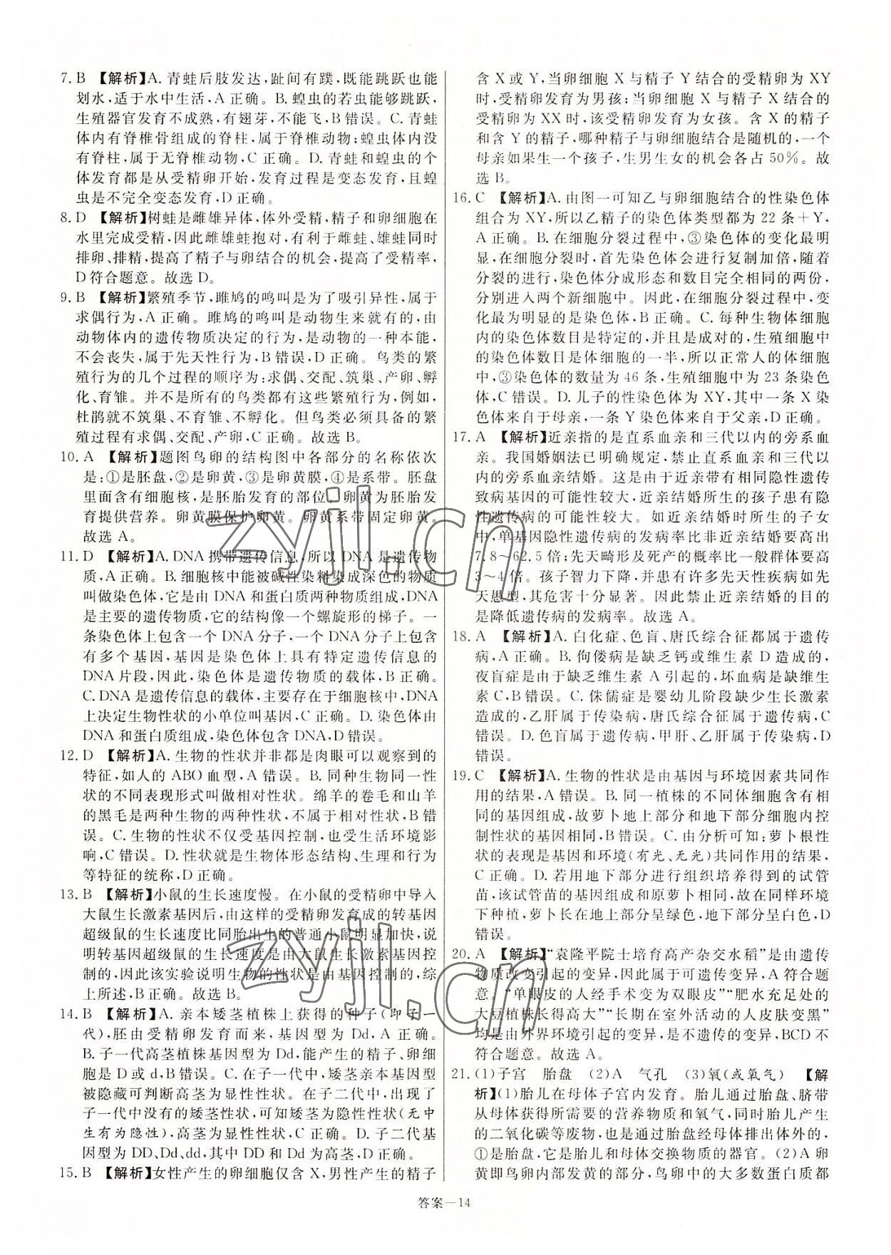 2022年新一線必刷卷生物河南專版 第14頁