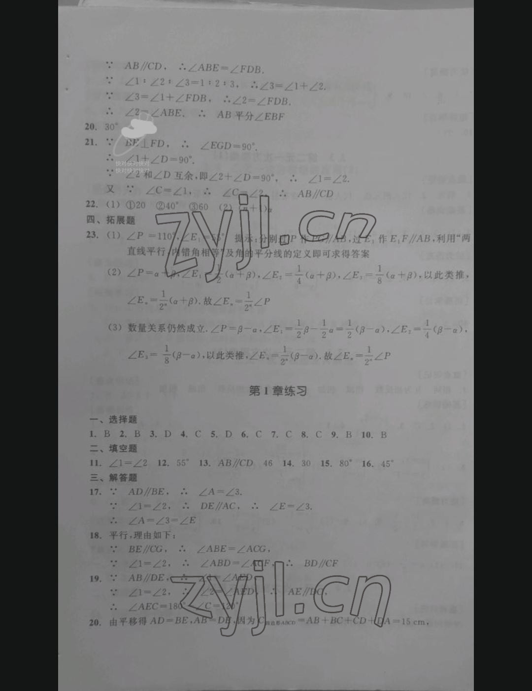 2022年單元學(xué)習(xí)指導(dǎo)與練習(xí)七年級(jí)數(shù)學(xué)下冊(cè)浙教版 參考答案第5頁(yè)