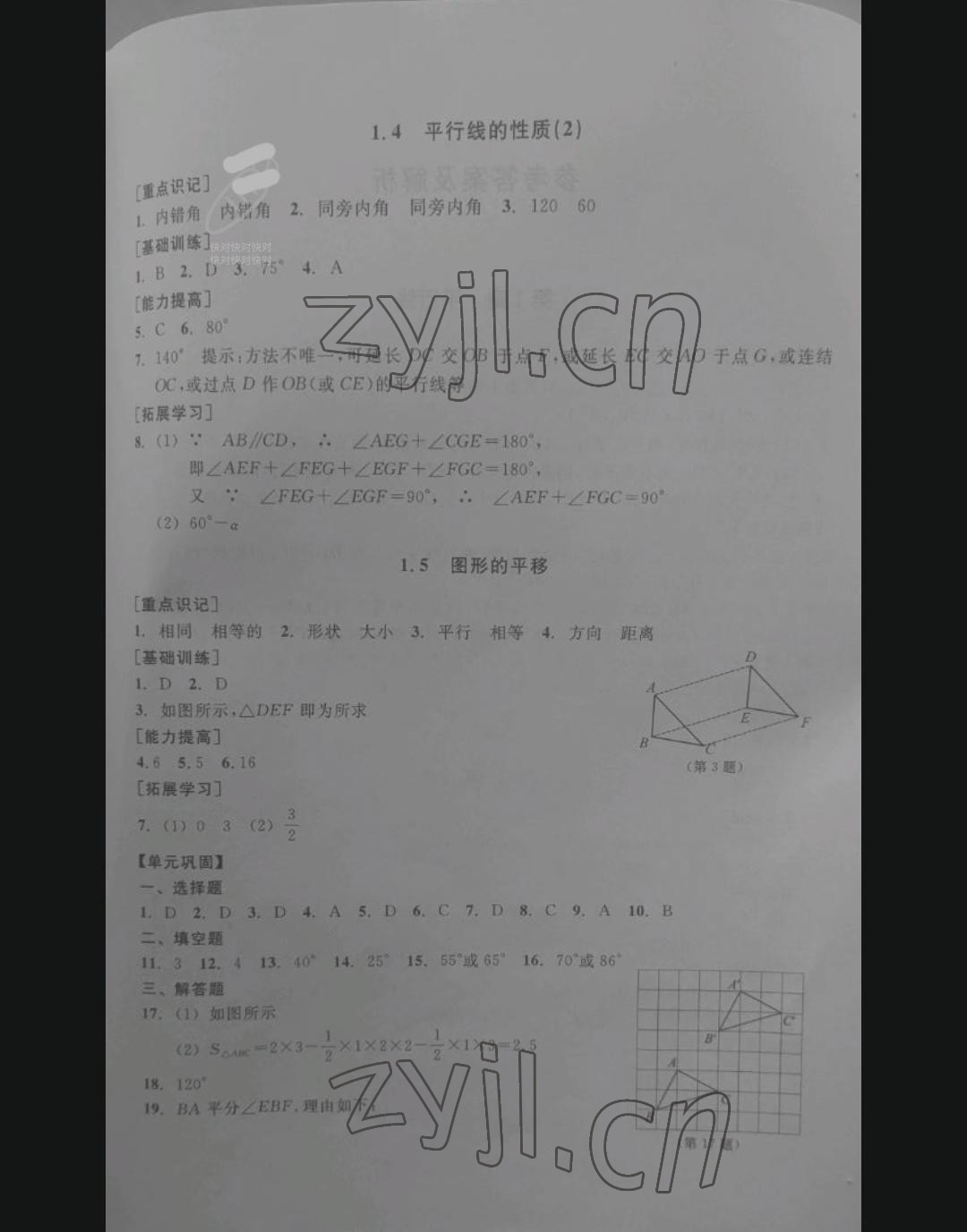 2022年單元學(xué)習(xí)指導(dǎo)與練習(xí)七年級數(shù)學(xué)下冊浙教版 參考答案第4頁