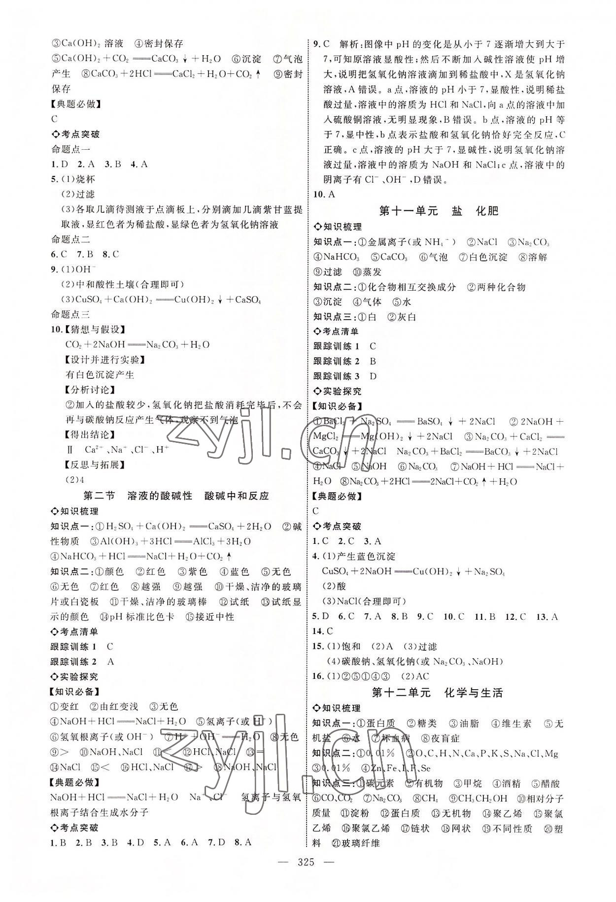 2022年全程导航初中总复习化学临沂专版 参考答案第8页