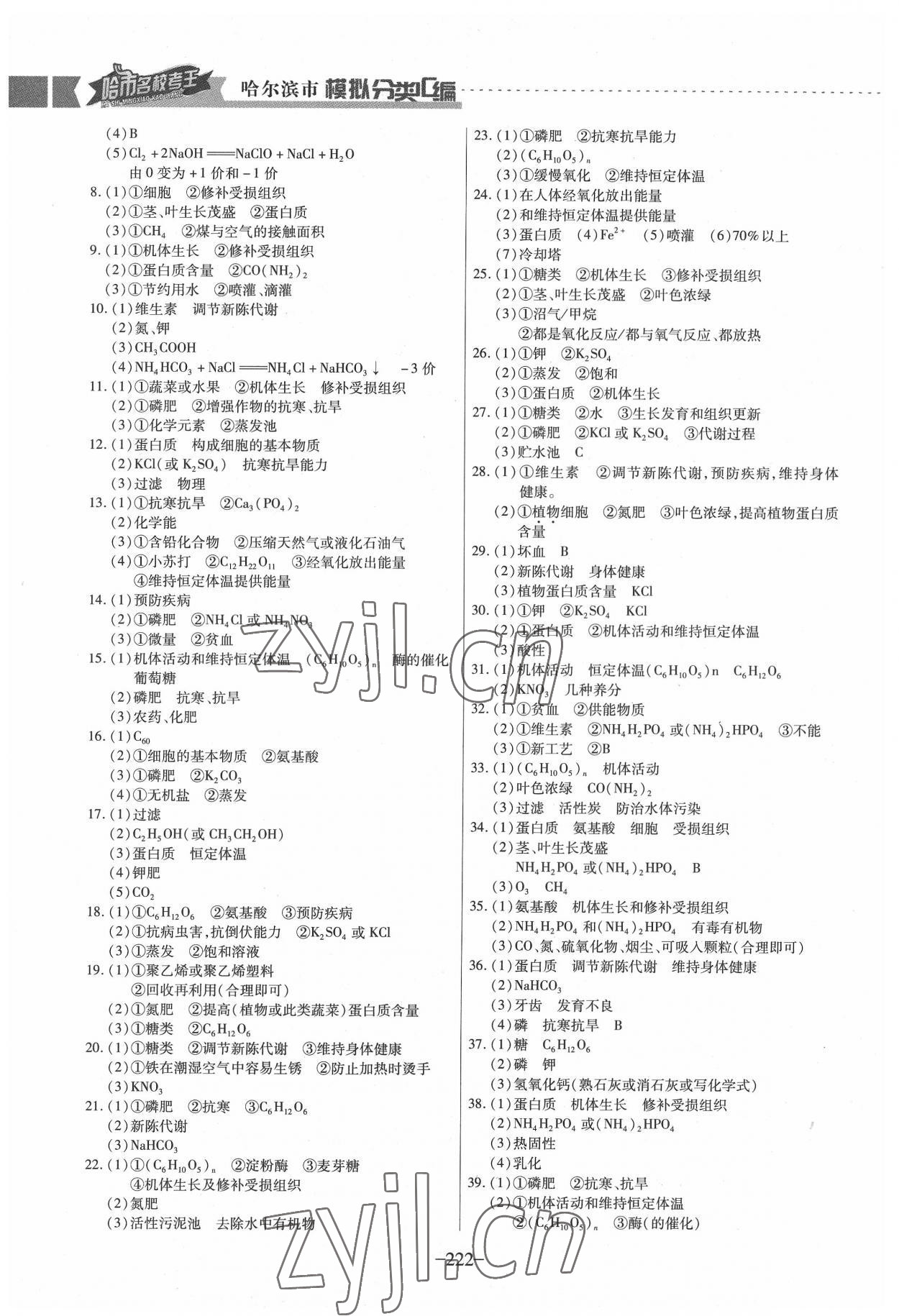 2022年哈市名校考王3分類3匯編中考化學哈爾濱專版 參考答案第5頁