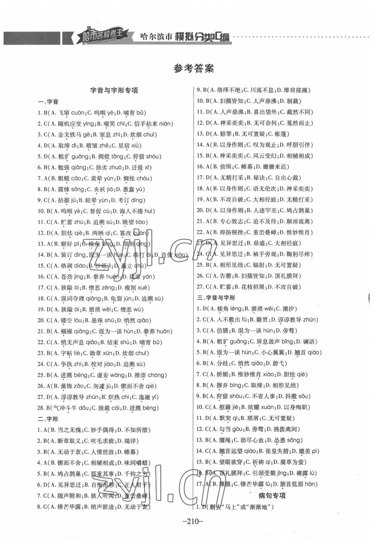 2022年哈市名校考王3分類3匯編中考語文哈爾濱專版 參考答案第1頁