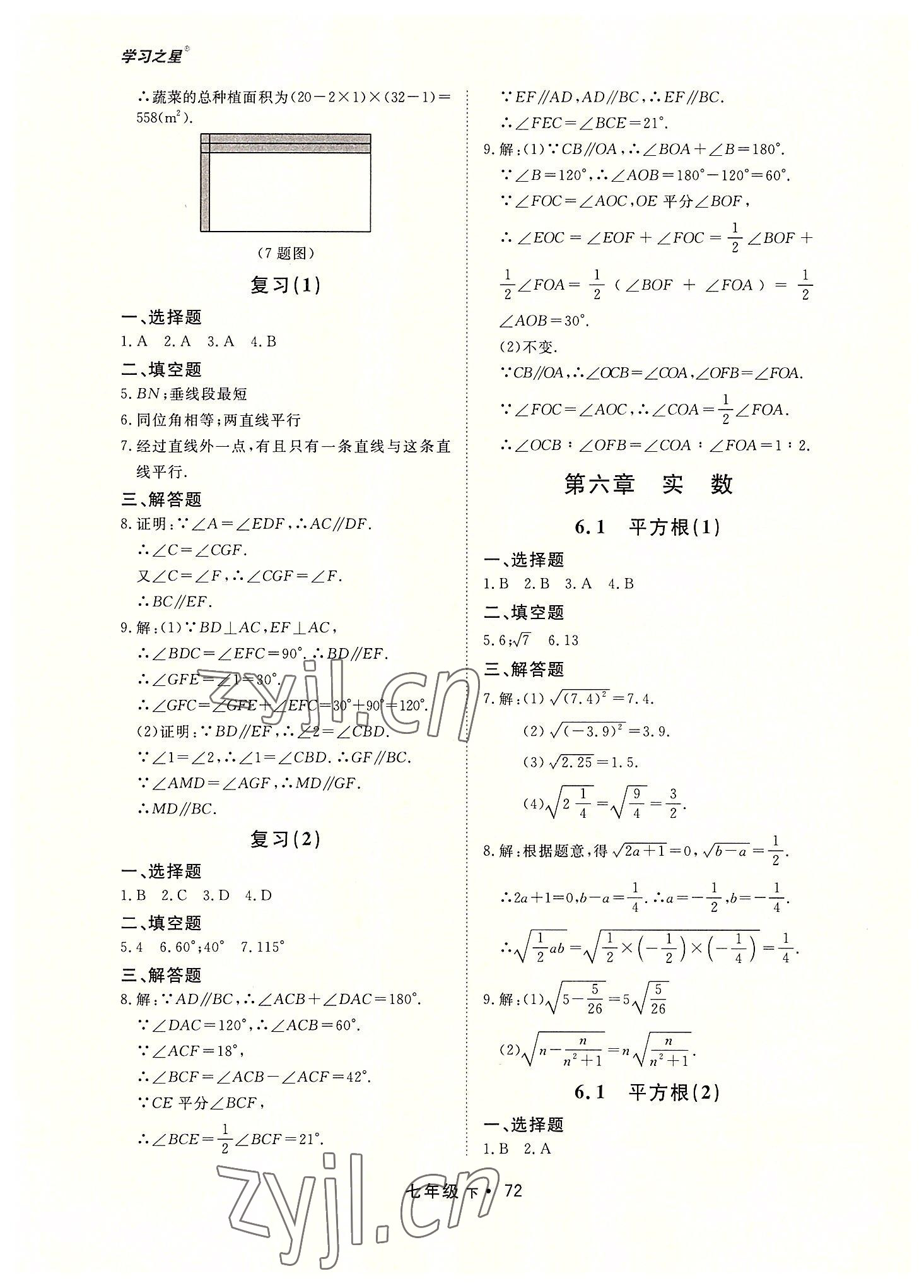 2022年博师在线七年级数学下册人教版大连专版 第4页