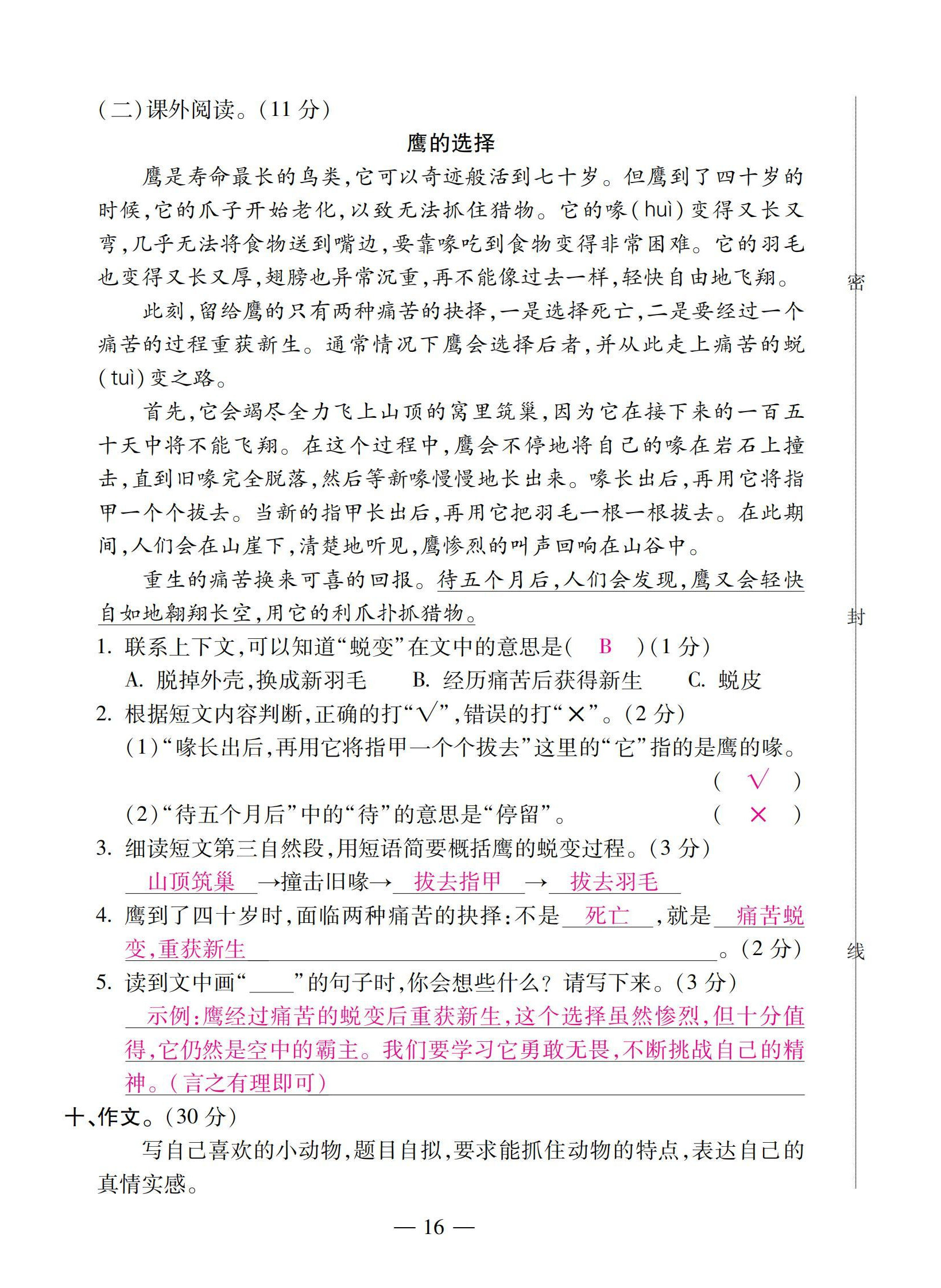 2022年本土卷四年級(jí)語(yǔ)文下冊(cè)人教版 第16頁(yè)