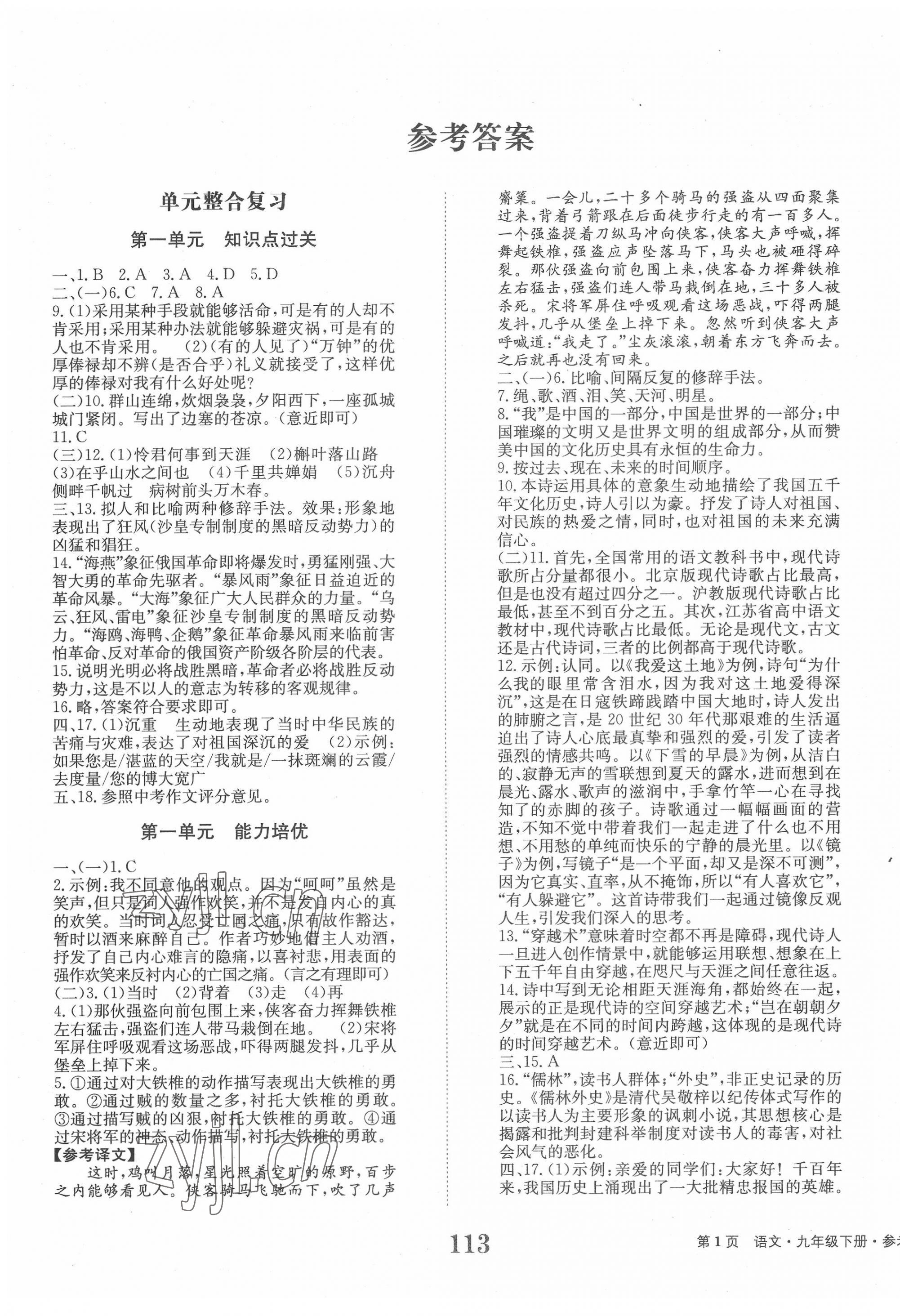 2022年全程检测卷学业达标评价九年级语文下册人教版创新版 第1页