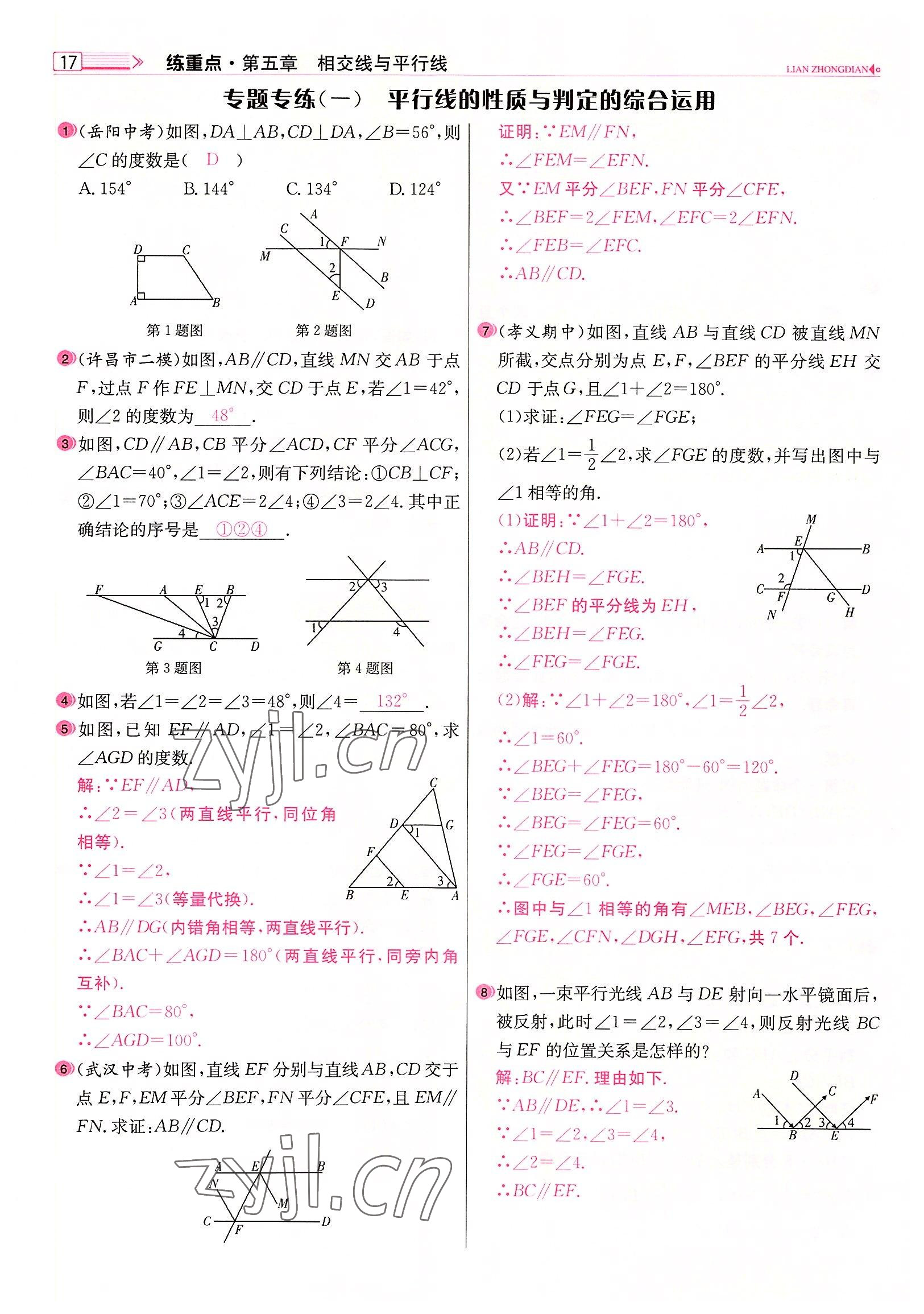 2022年練重點(diǎn)七年級數(shù)學(xué)下冊人教版河南專版 參考答案第17頁