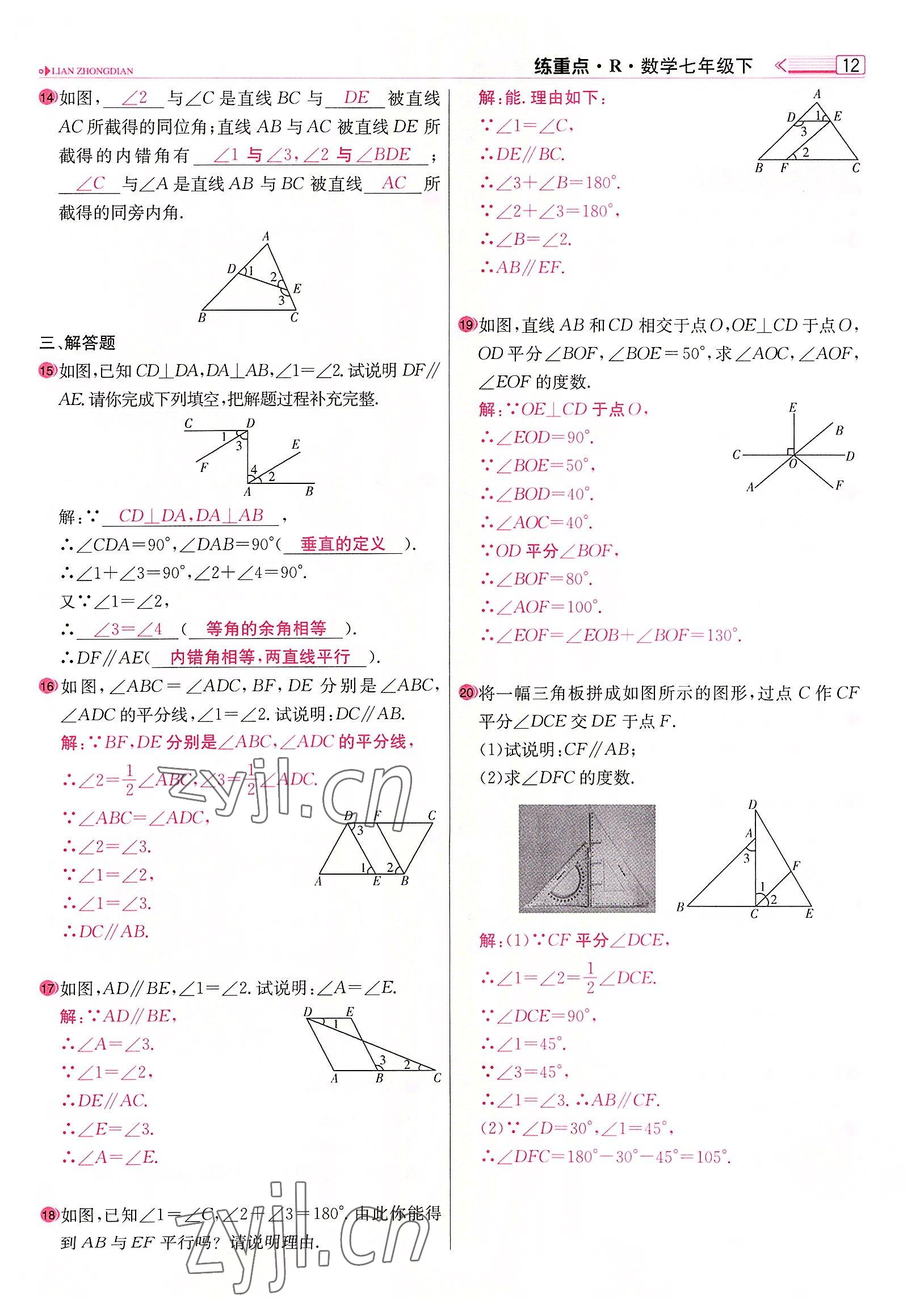 2022年練重點(diǎn)七年級數(shù)學(xué)下冊人教版河南專版 參考答案第12頁