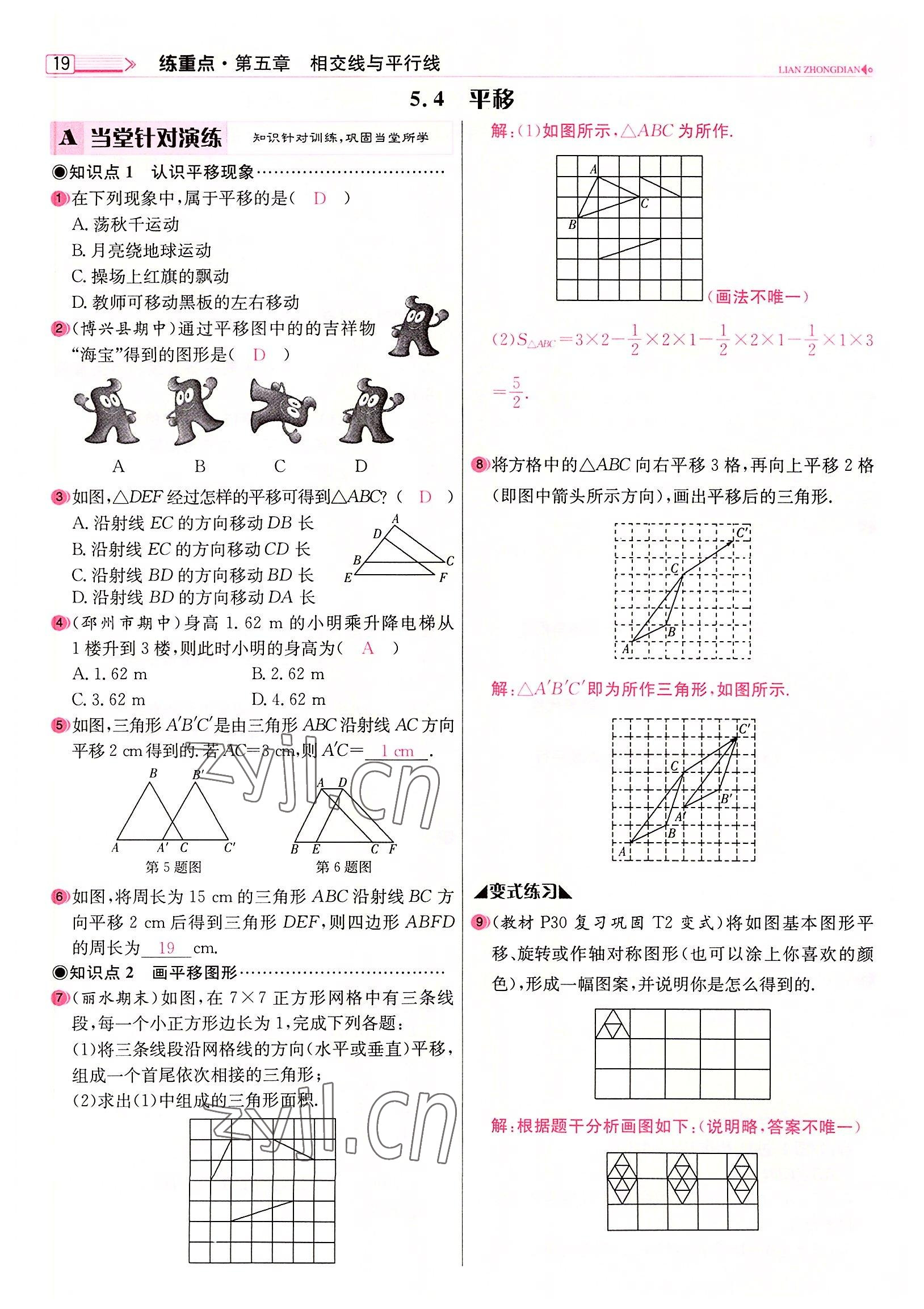 2022年練重點七年級數學下冊人教版河南專版 參考答案第19頁